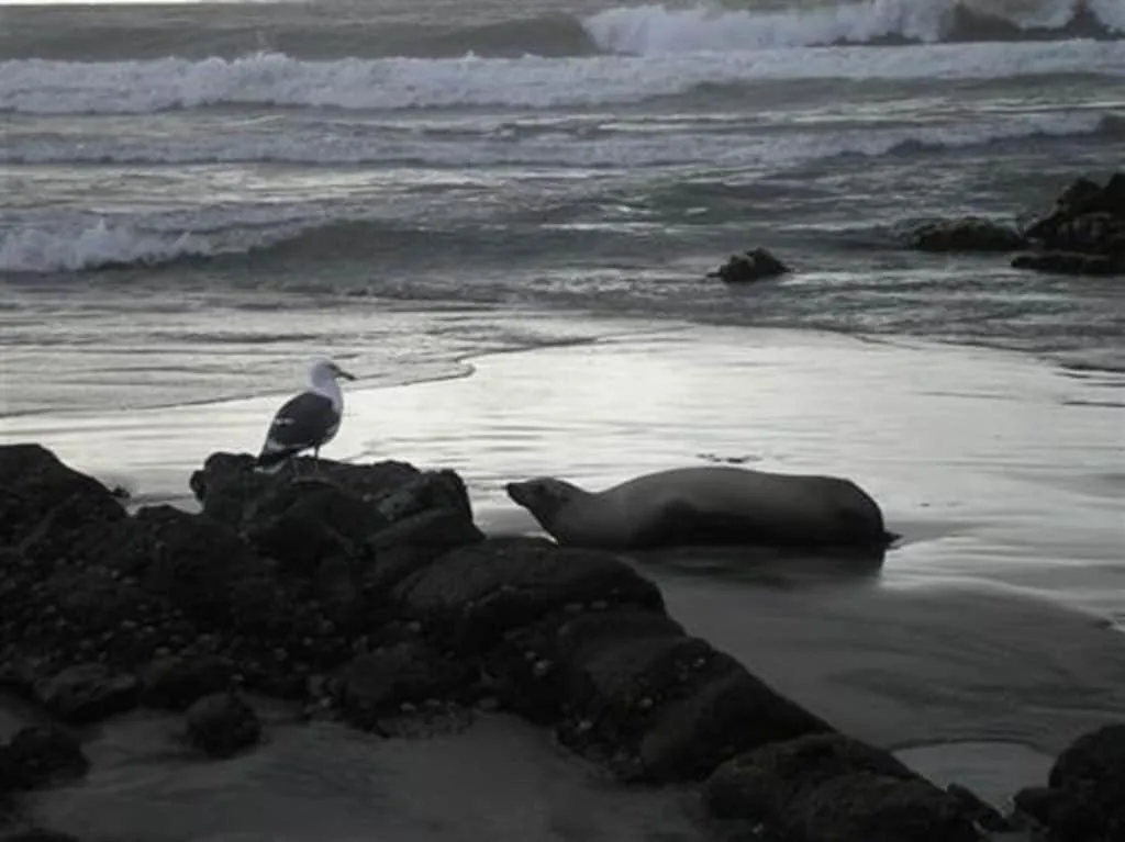 Sea view in 'Luxury Oceanfront Penthouse with Pools, Jacuzzis and Spectacular Ocean Views'