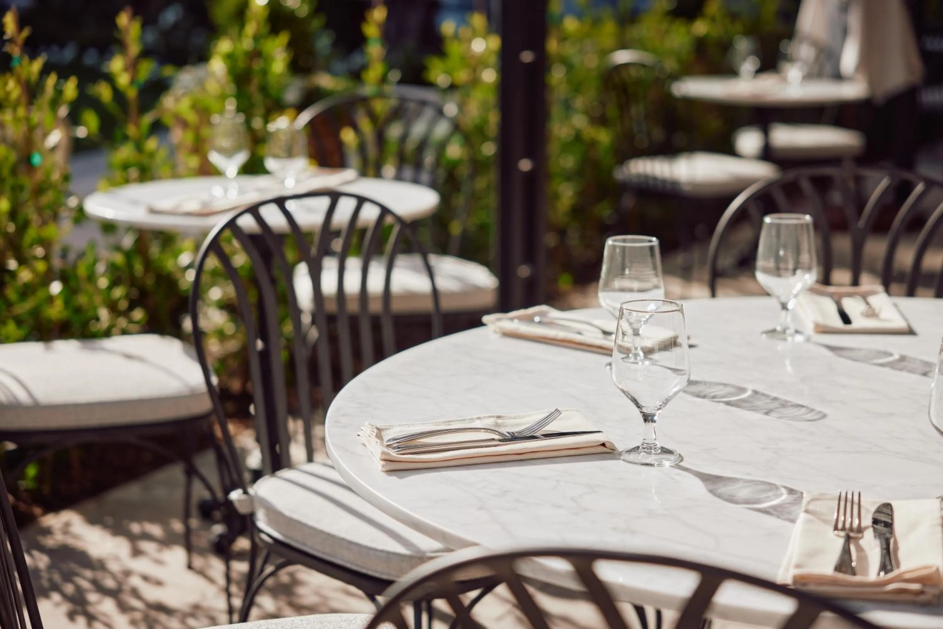 The Global Ambassador