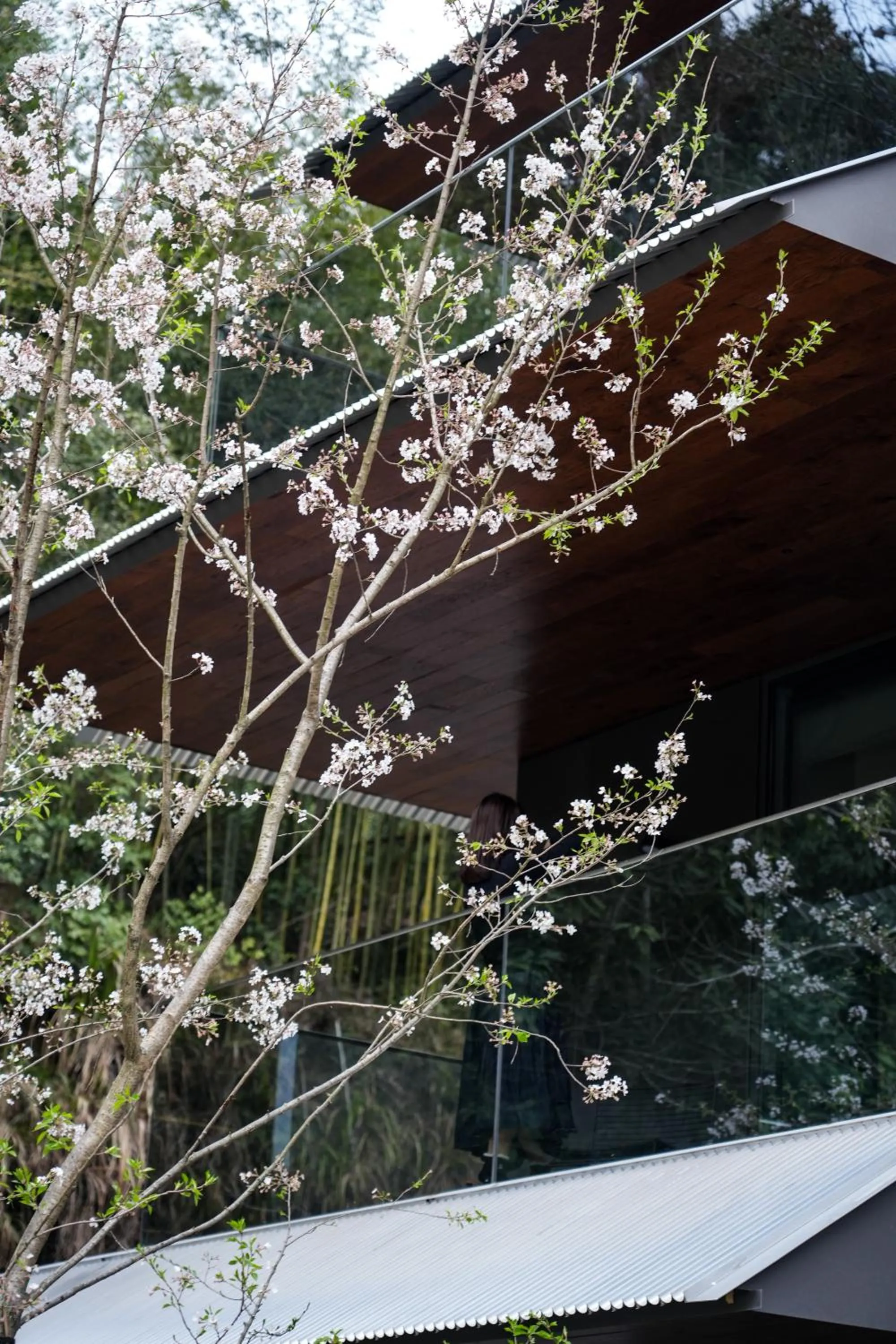 Spring in Yakamoz Qianchuan Hotel