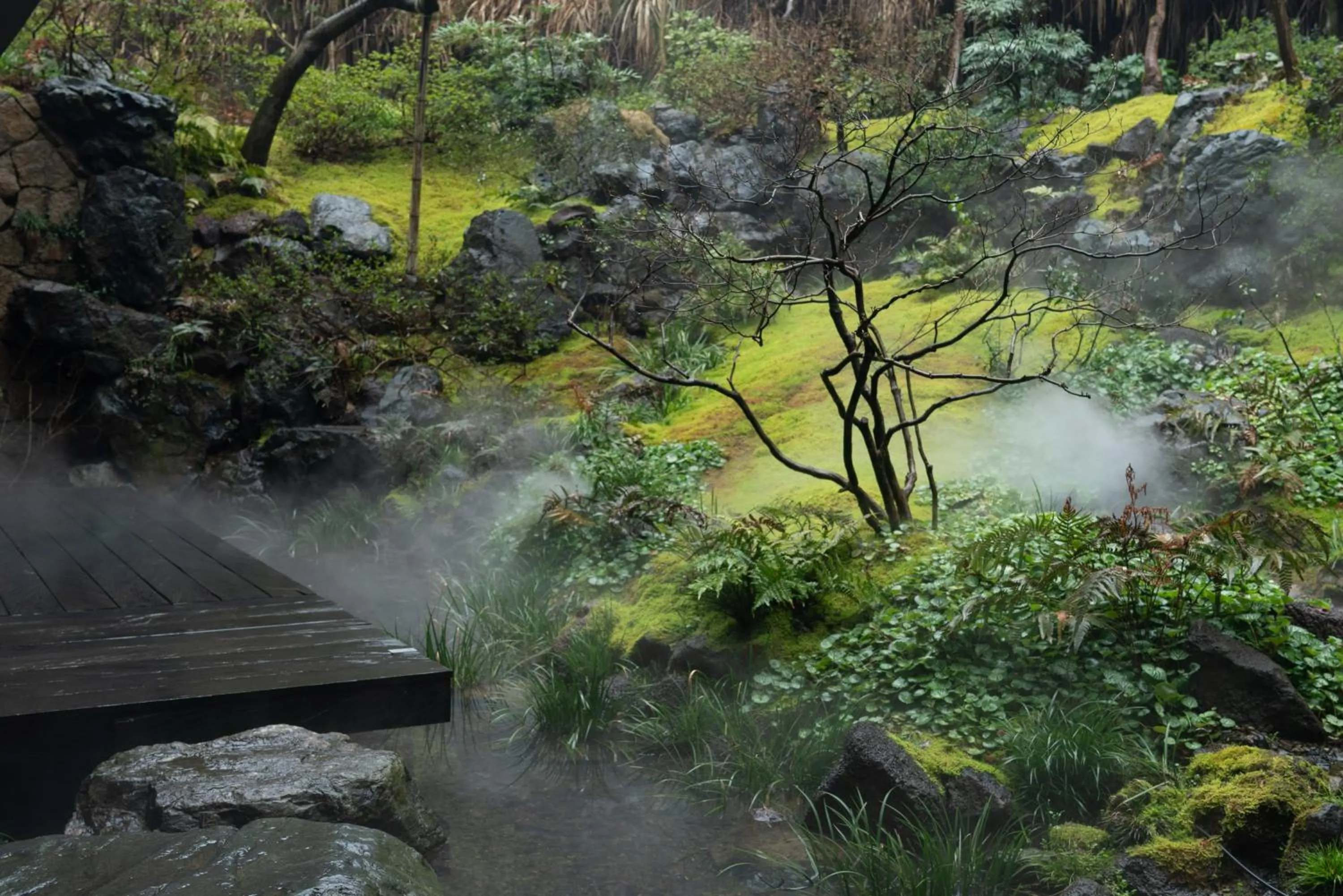 Garden in Yakamoz Qianchuan Hotel