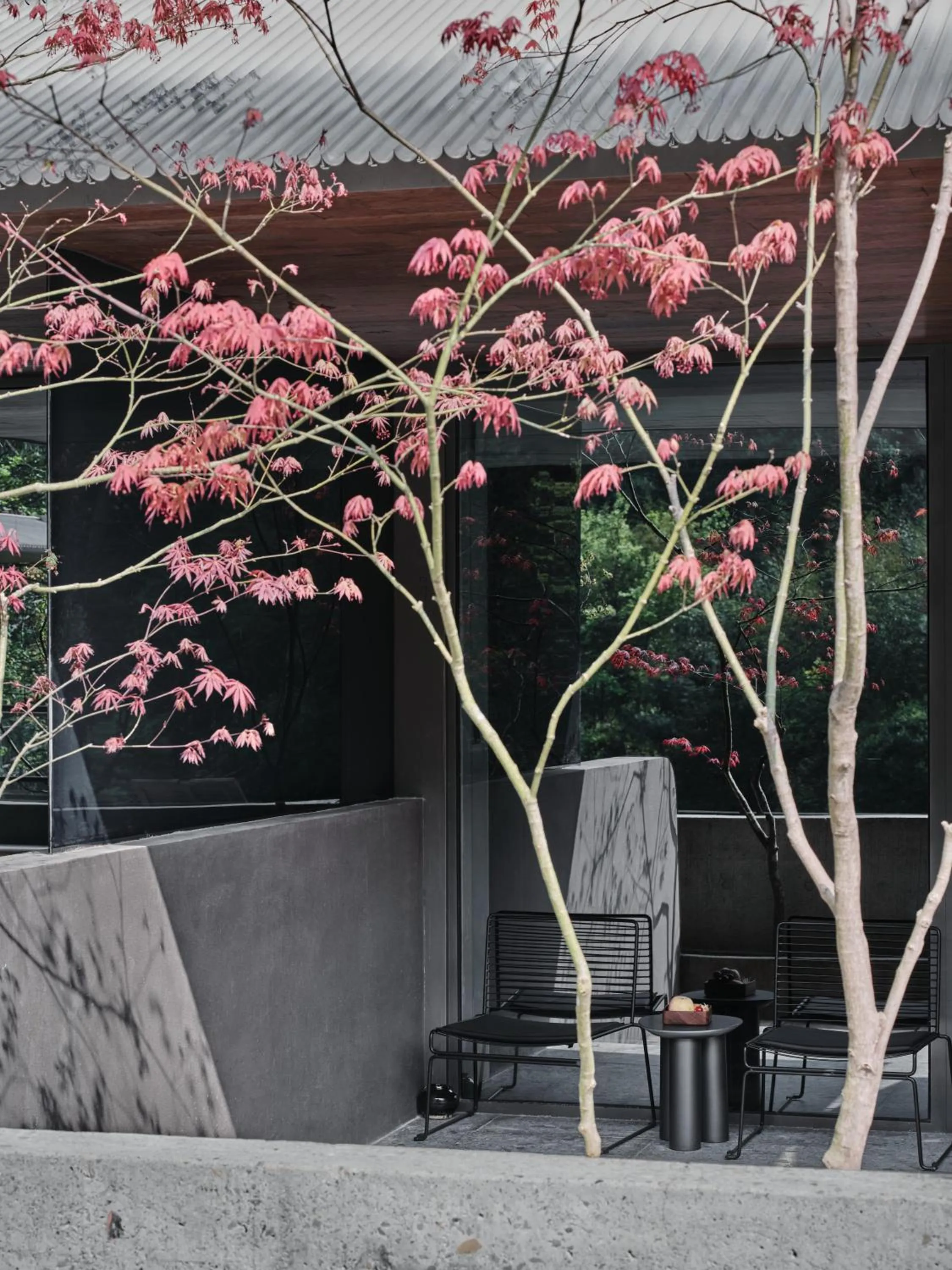 Balcony/Terrace in Yakamoz Qianchuan Hotel