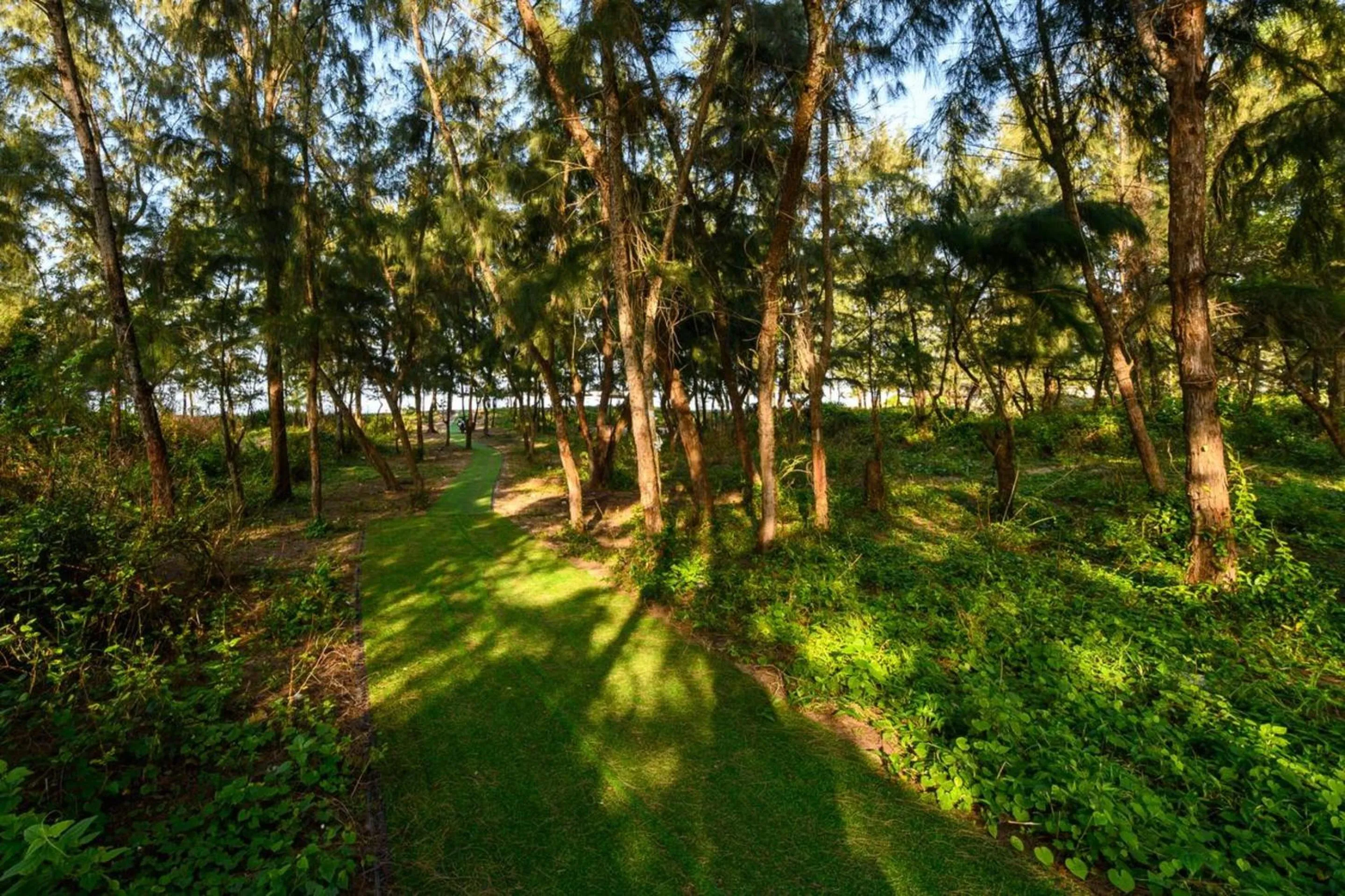Beach in HA Hotel Apartments Ocean Front