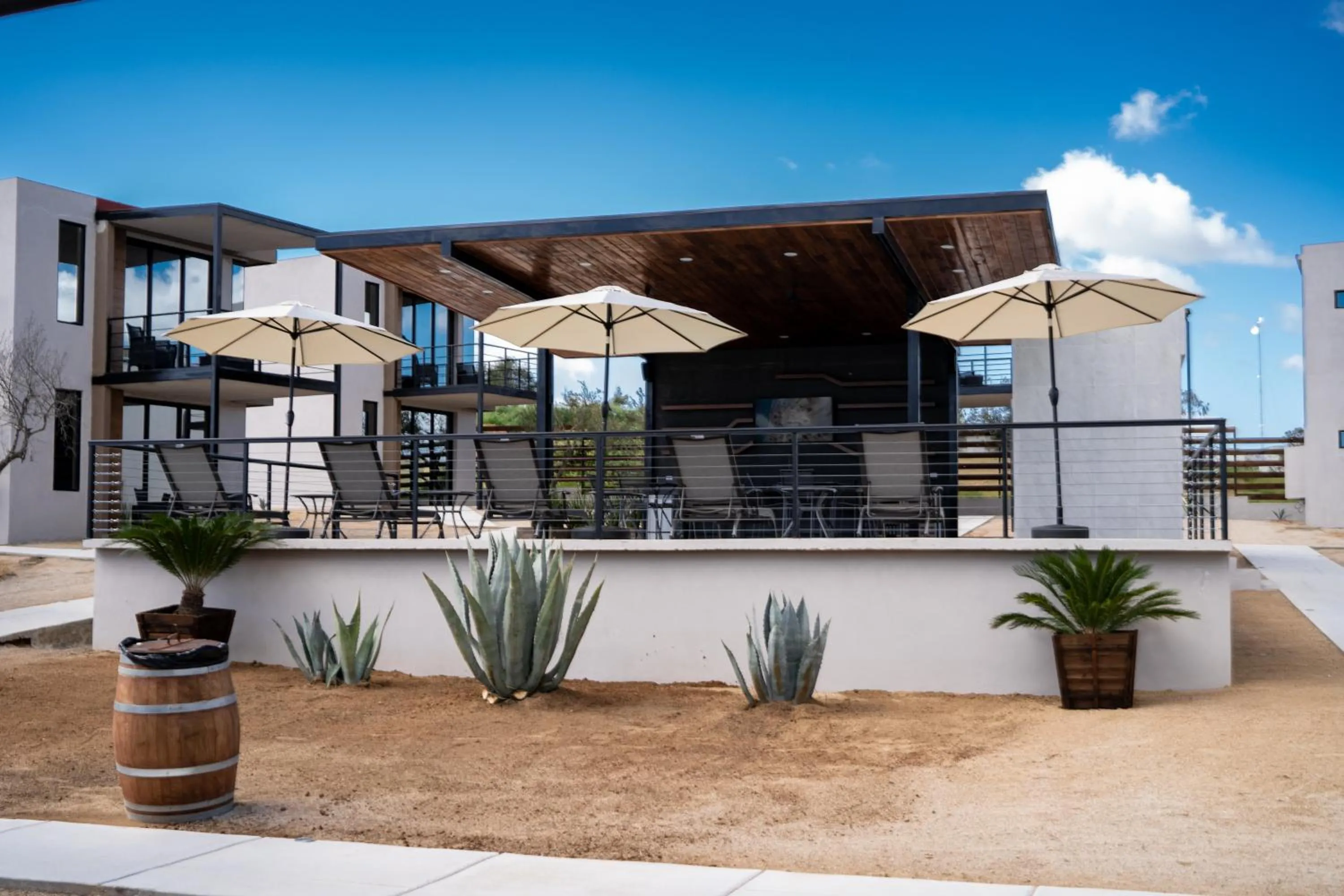 Garden in Villa Sophia Valle de Guadalupe