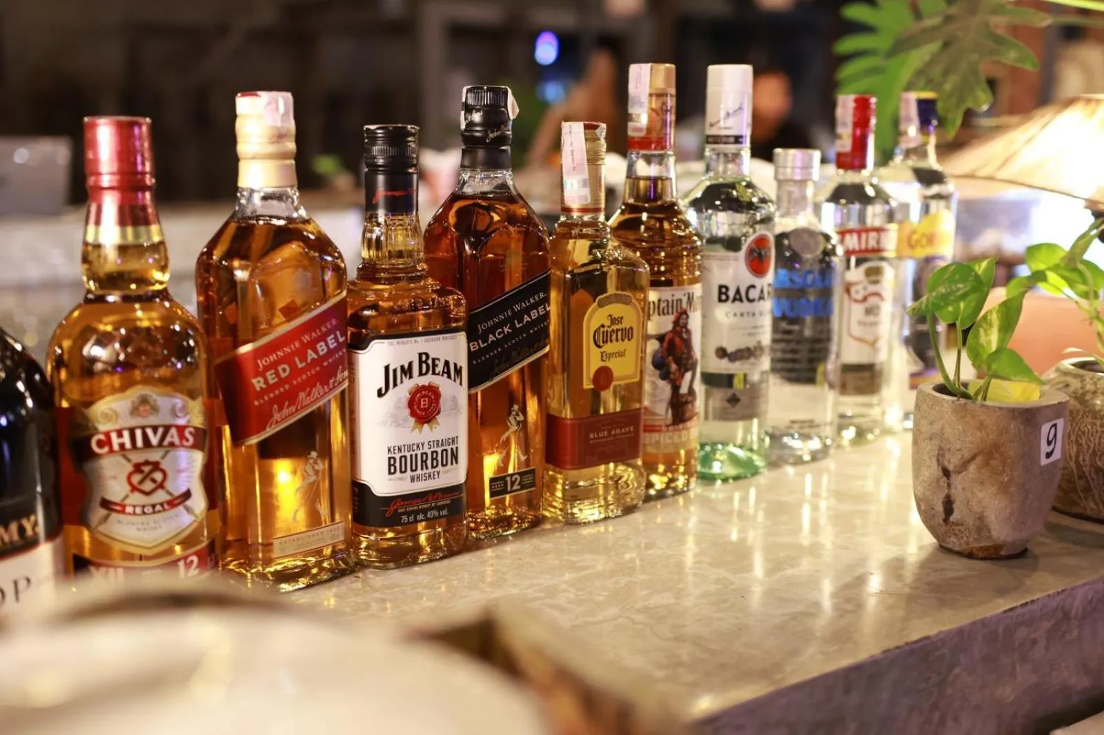 Lounge or bar in The Reward Villas Kerobokan