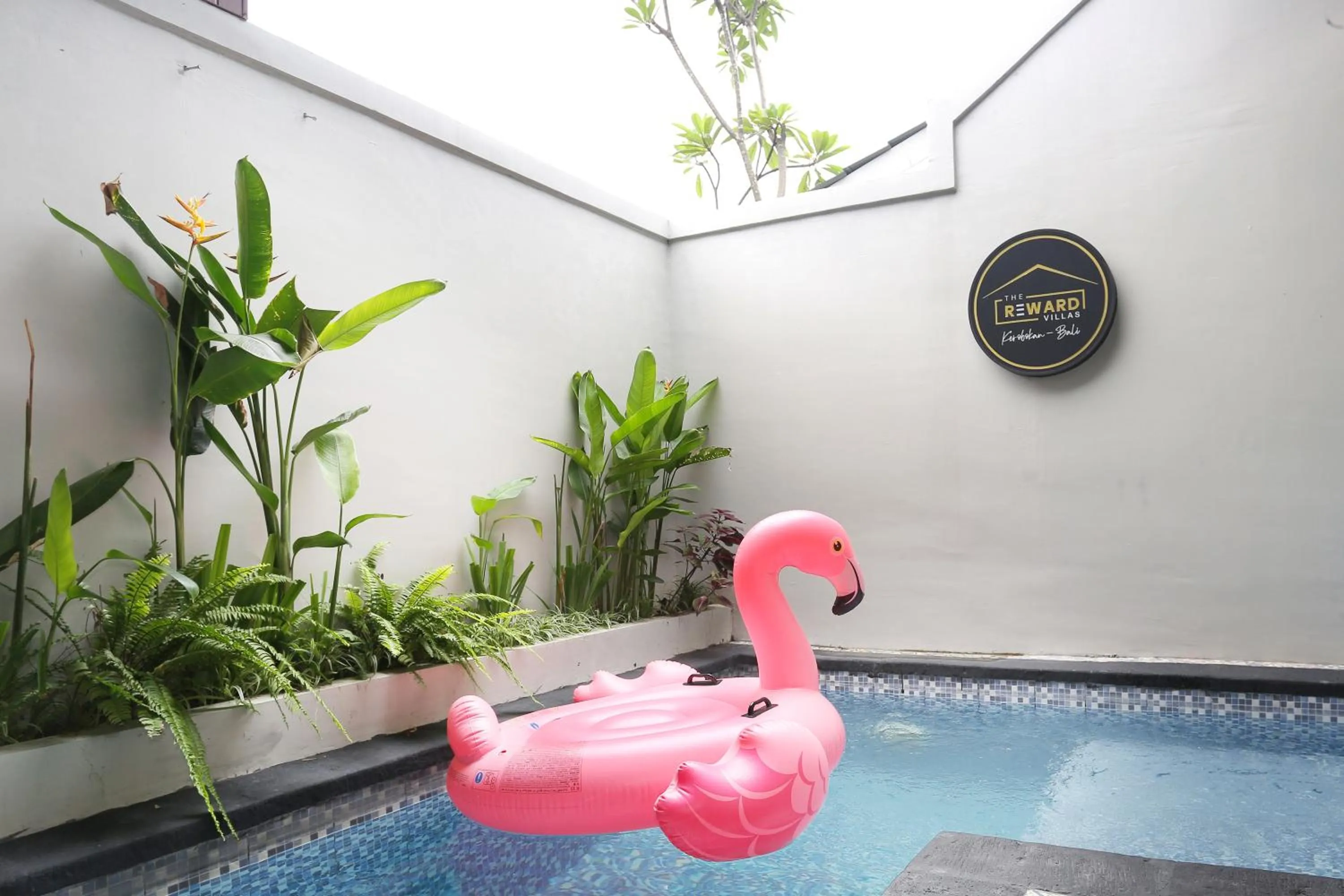 Swimming pool in The Reward Villas