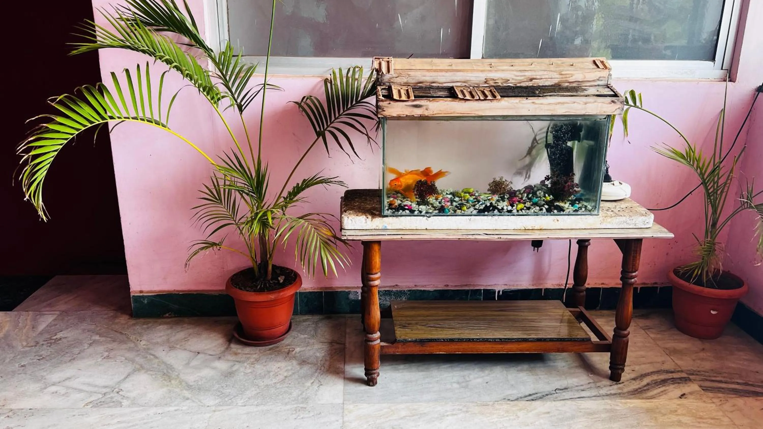 Lobby or reception in Hotel O 81239 Shri Vinayaka Inn Rooms