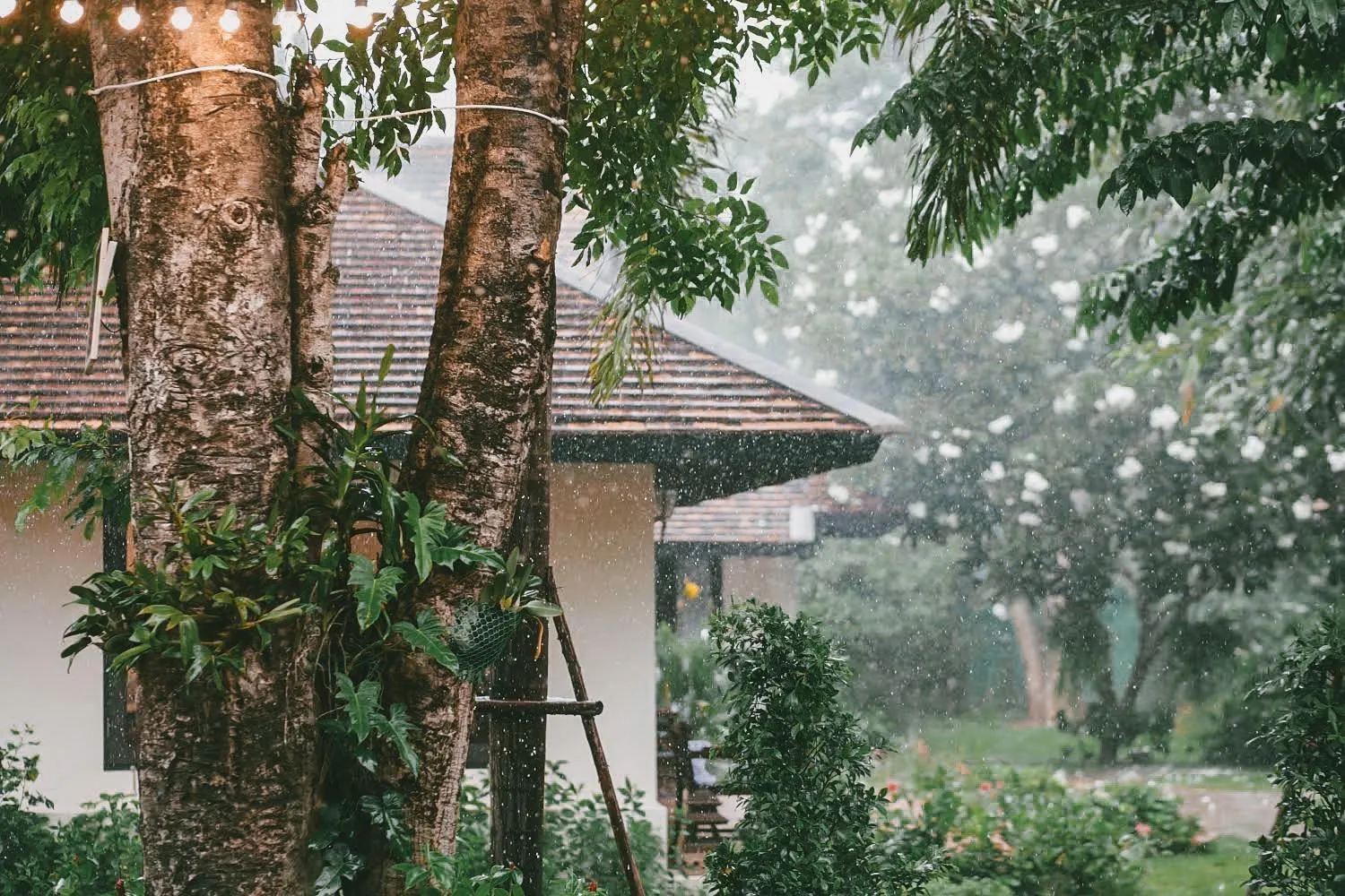 Natural landscape in Le Baan Thai Boutique Villa