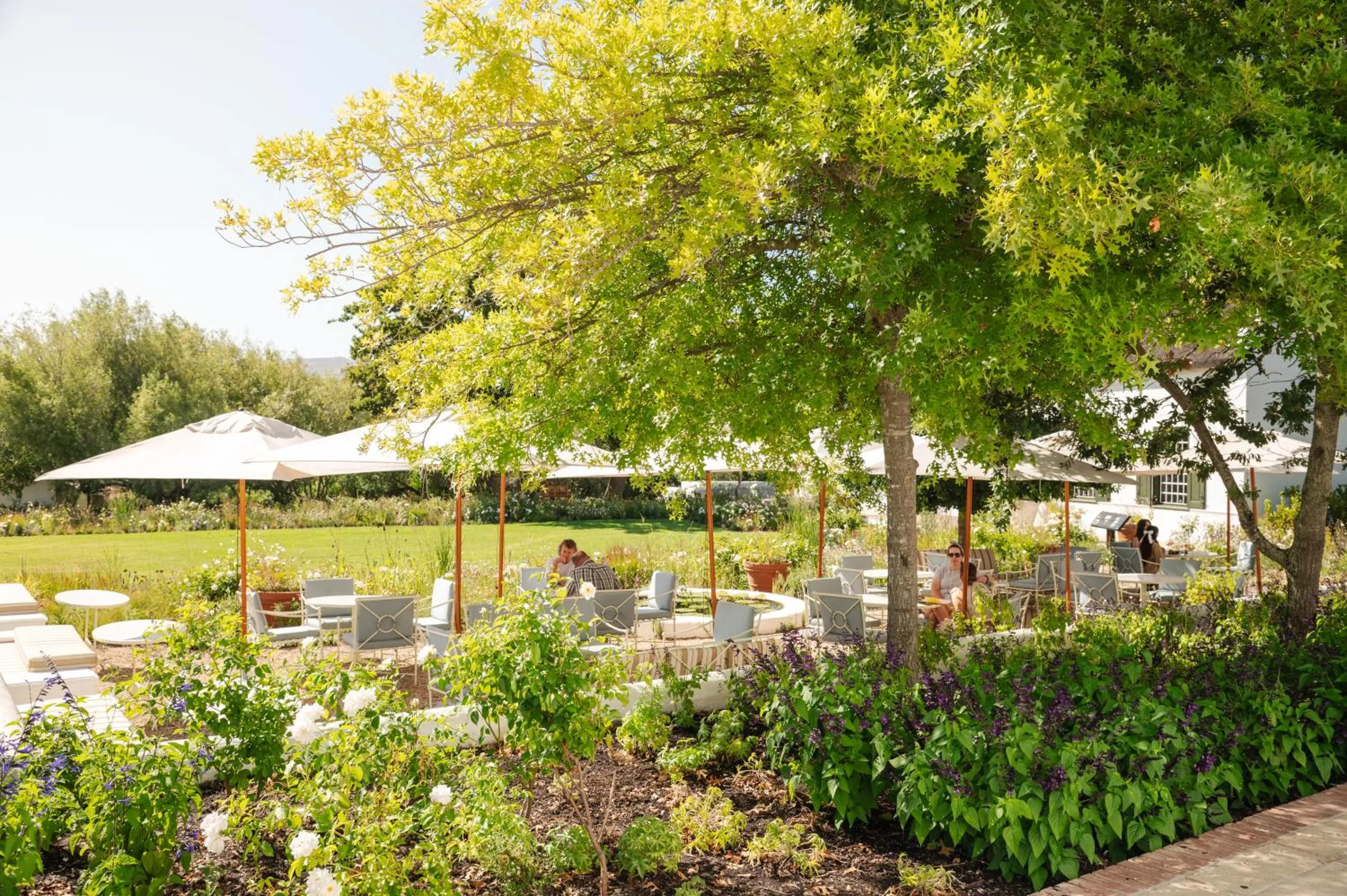 Restaurant/places to eat in The Hazendal Hotel and Spa