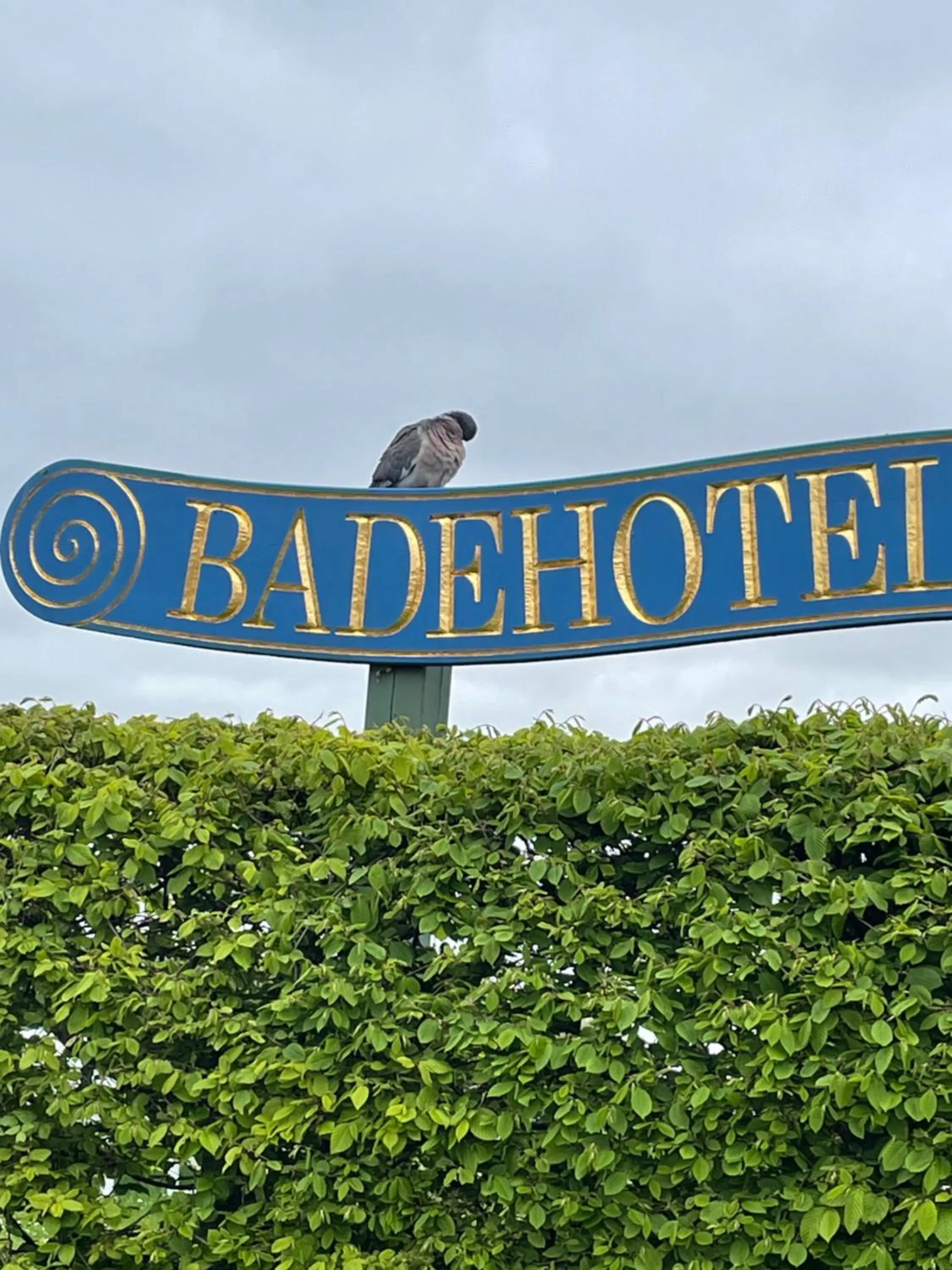 Logo/Certificate/Sign in Badehotel Harmonien