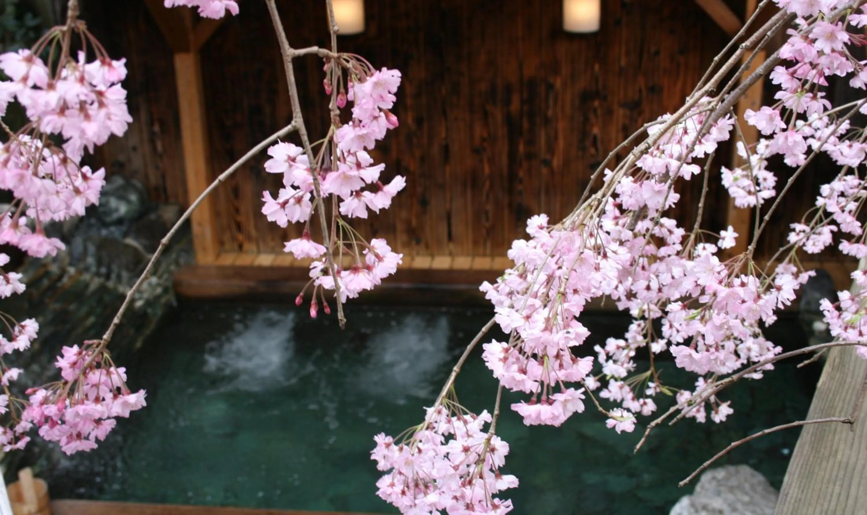 Spring in Ryokan Sumiya Kihoan