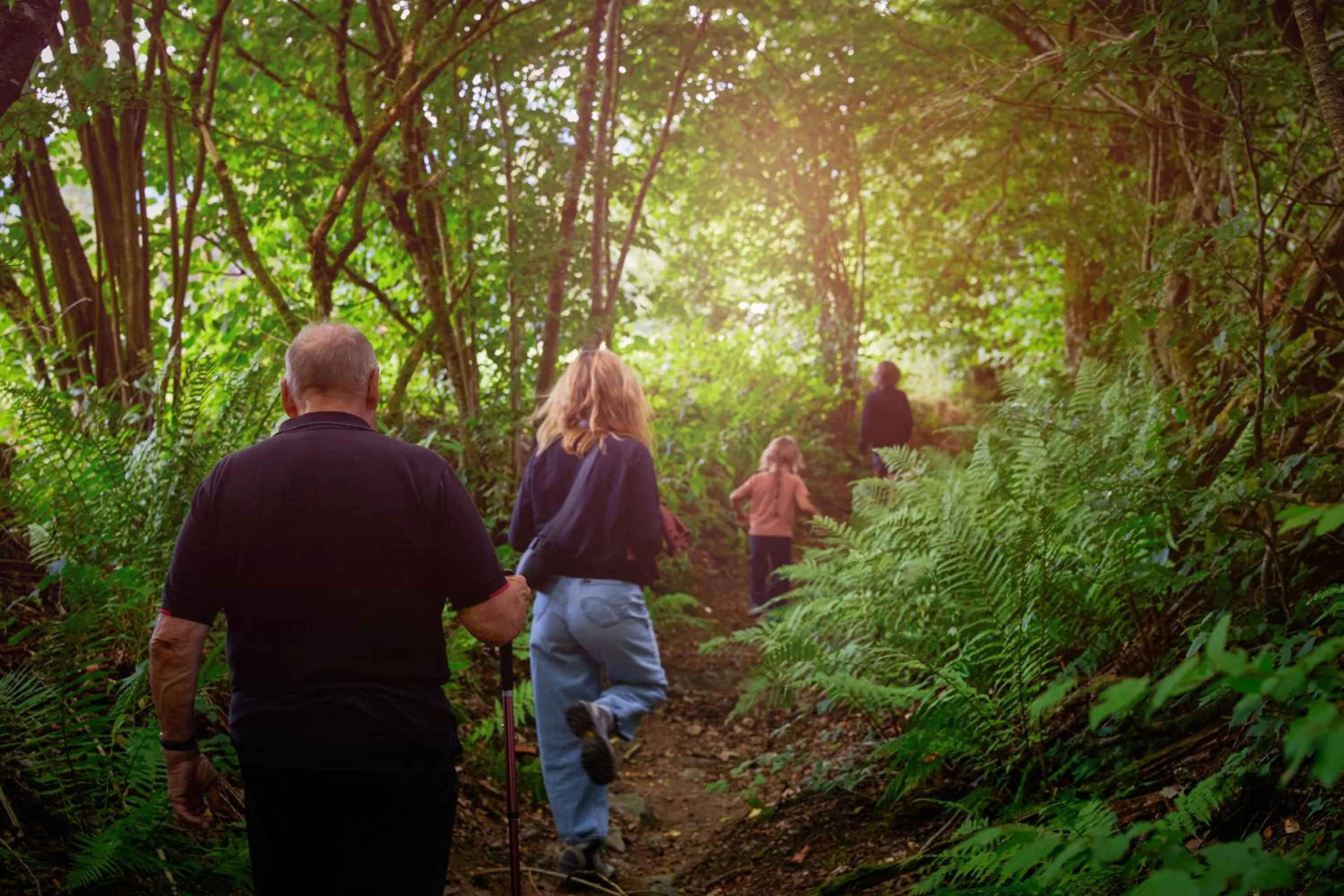 Area and facilities in Hillview Hotel Grandvoir