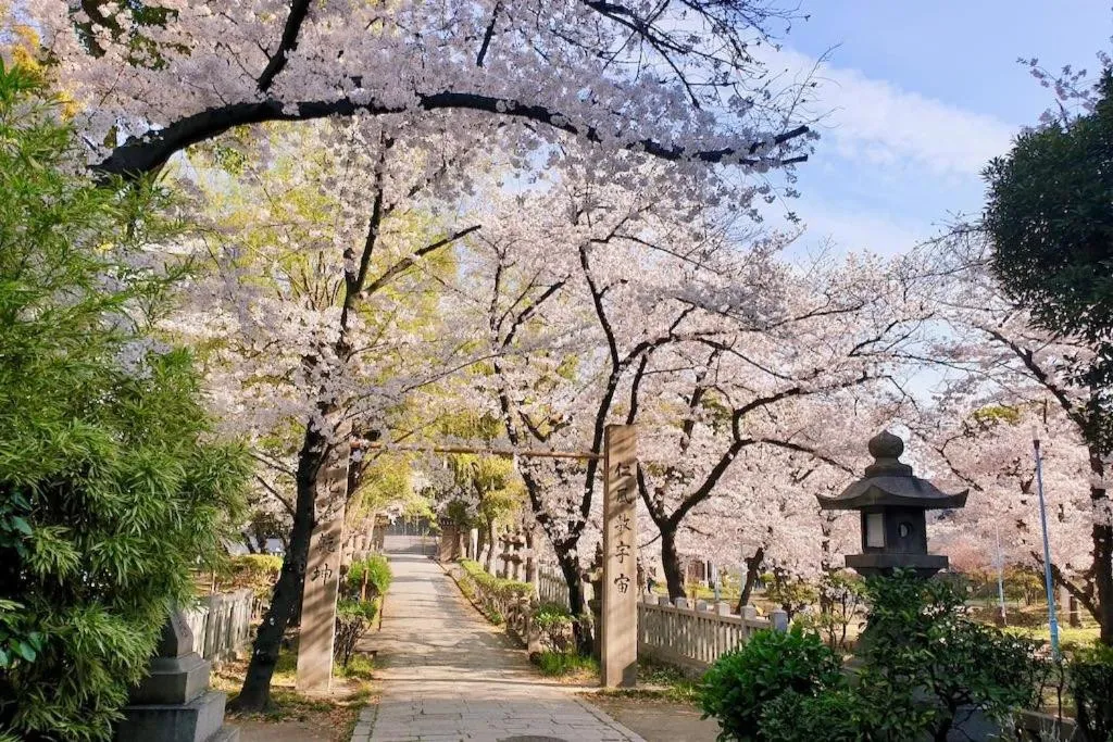 Natural landscape in Floral Hotel East Shinsaibashi