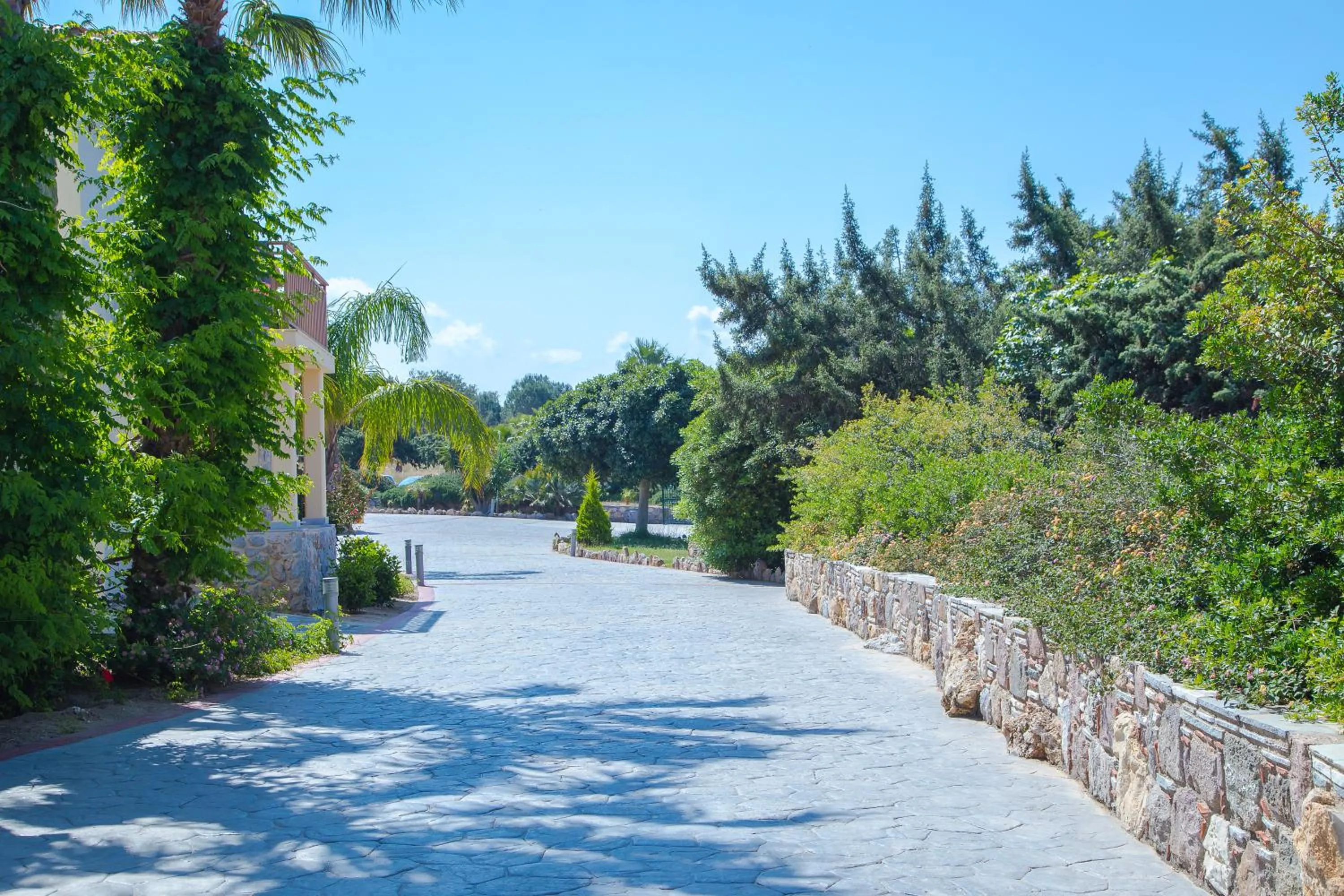 Garden in Achilleas Beach Hotel Adults Only