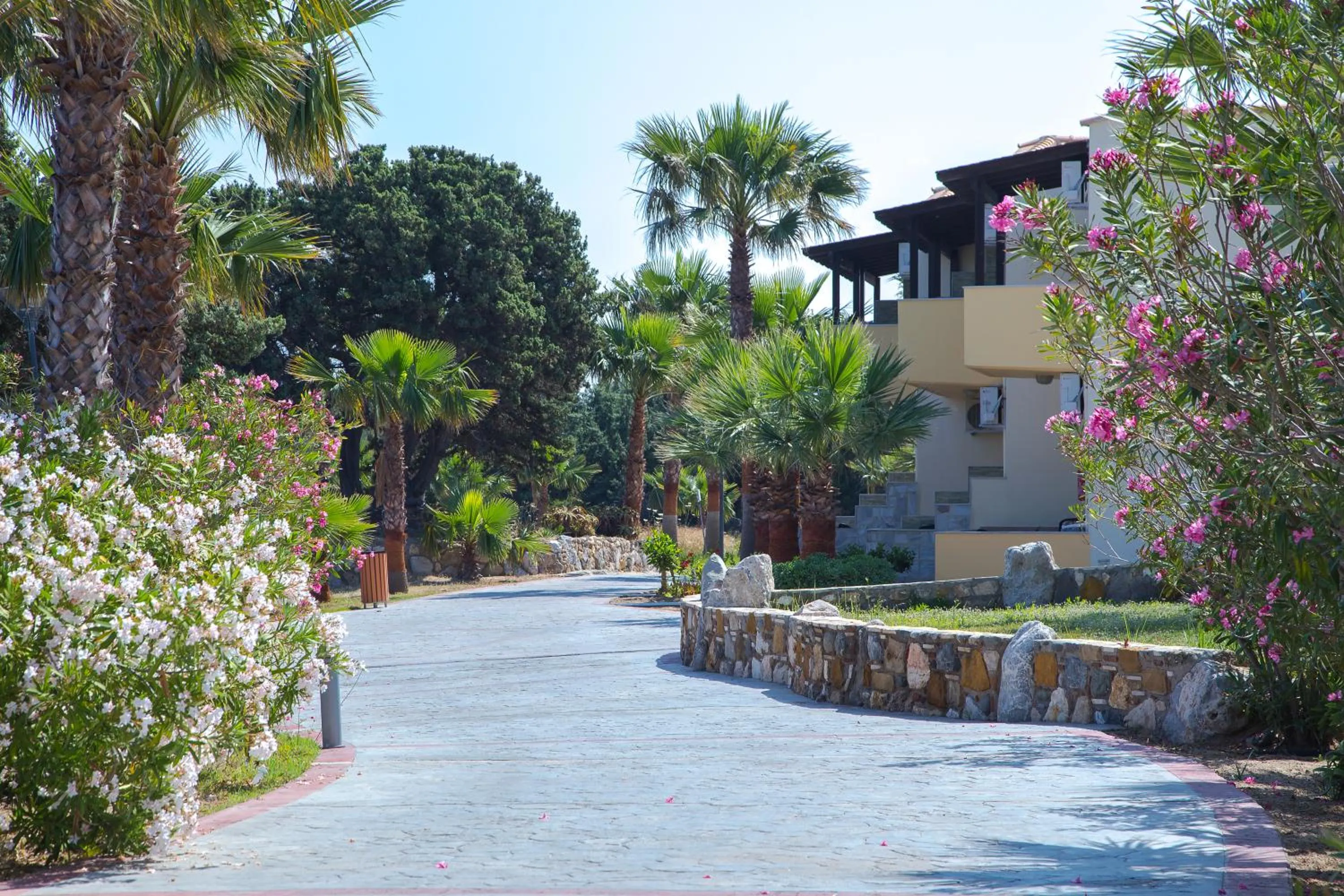 Garden in Achilleas Beach Hotel Adults Only