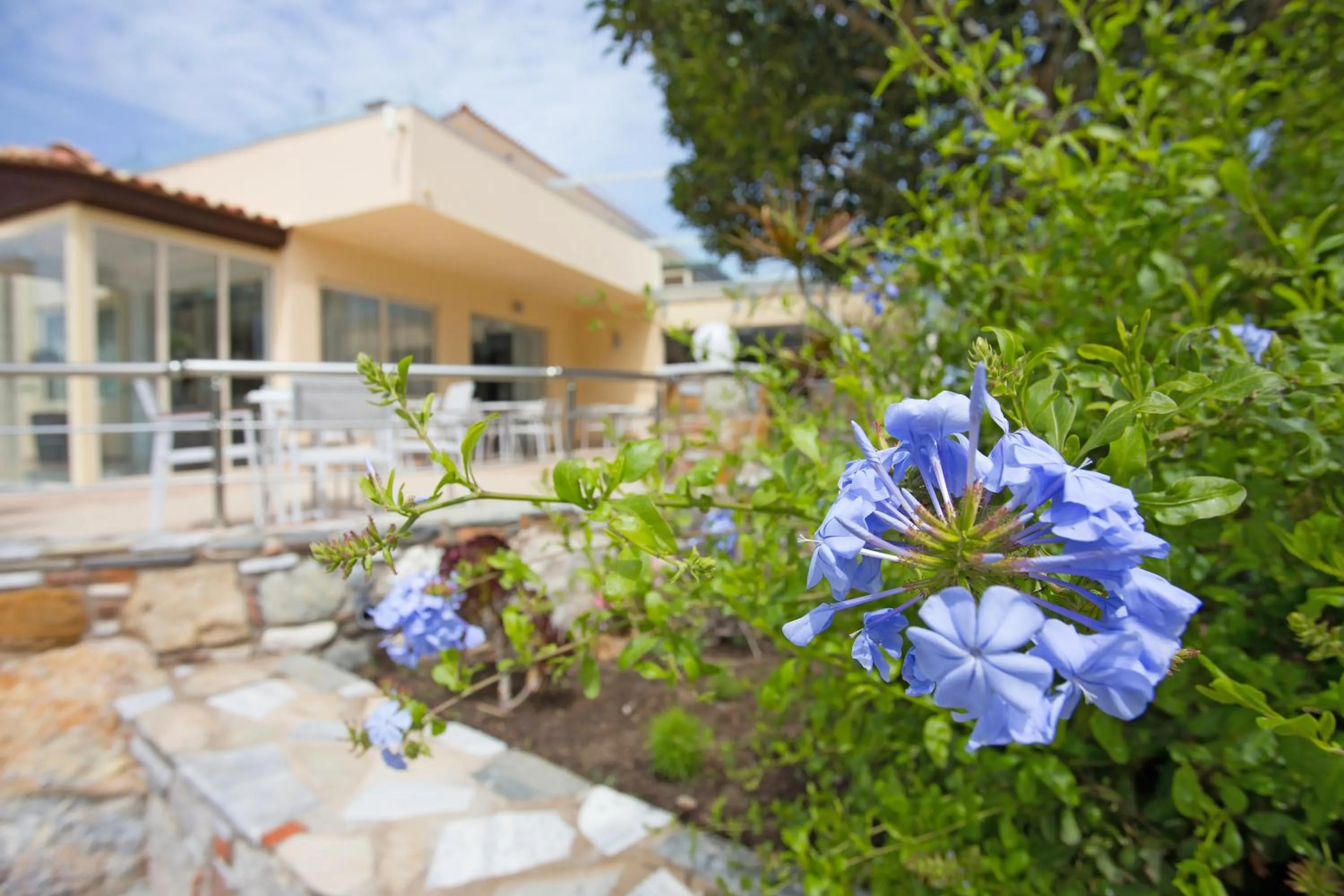 Garden in Achilleas Beach Hotel Adults Only
