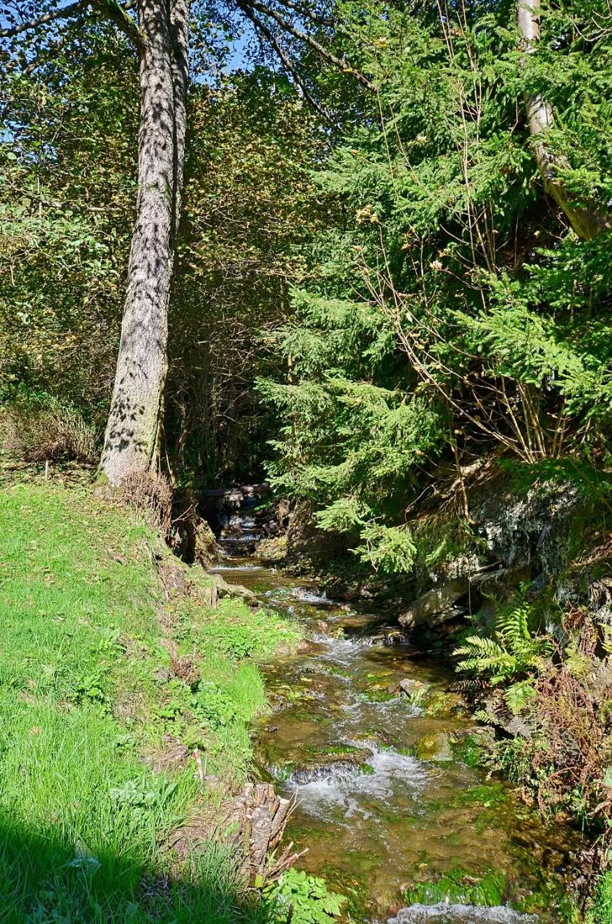 Spring in Rezidence GreenHill ⃰ ⃰ ⃰