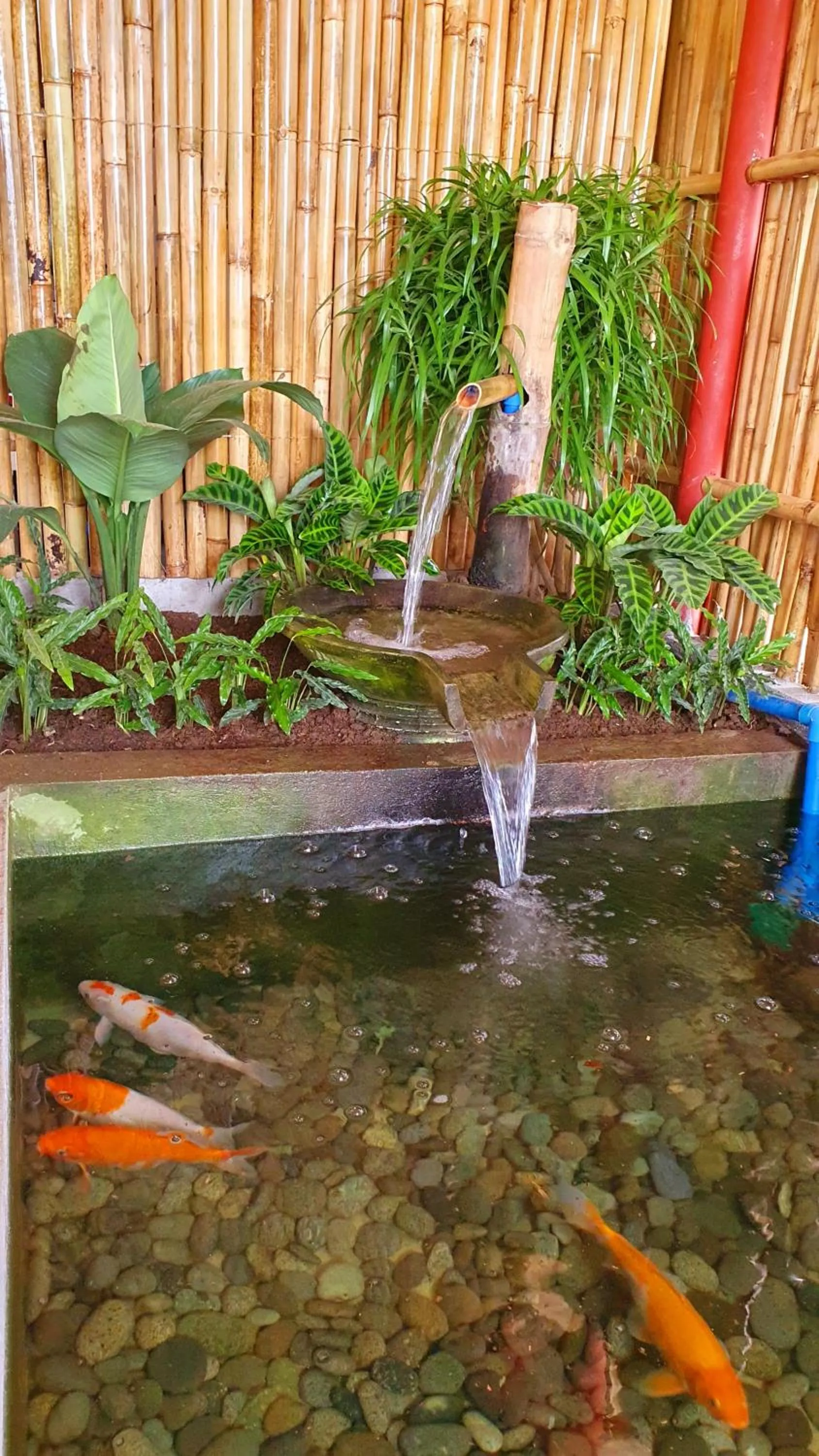 Garden in The Farm Shack by SMS Hospitality