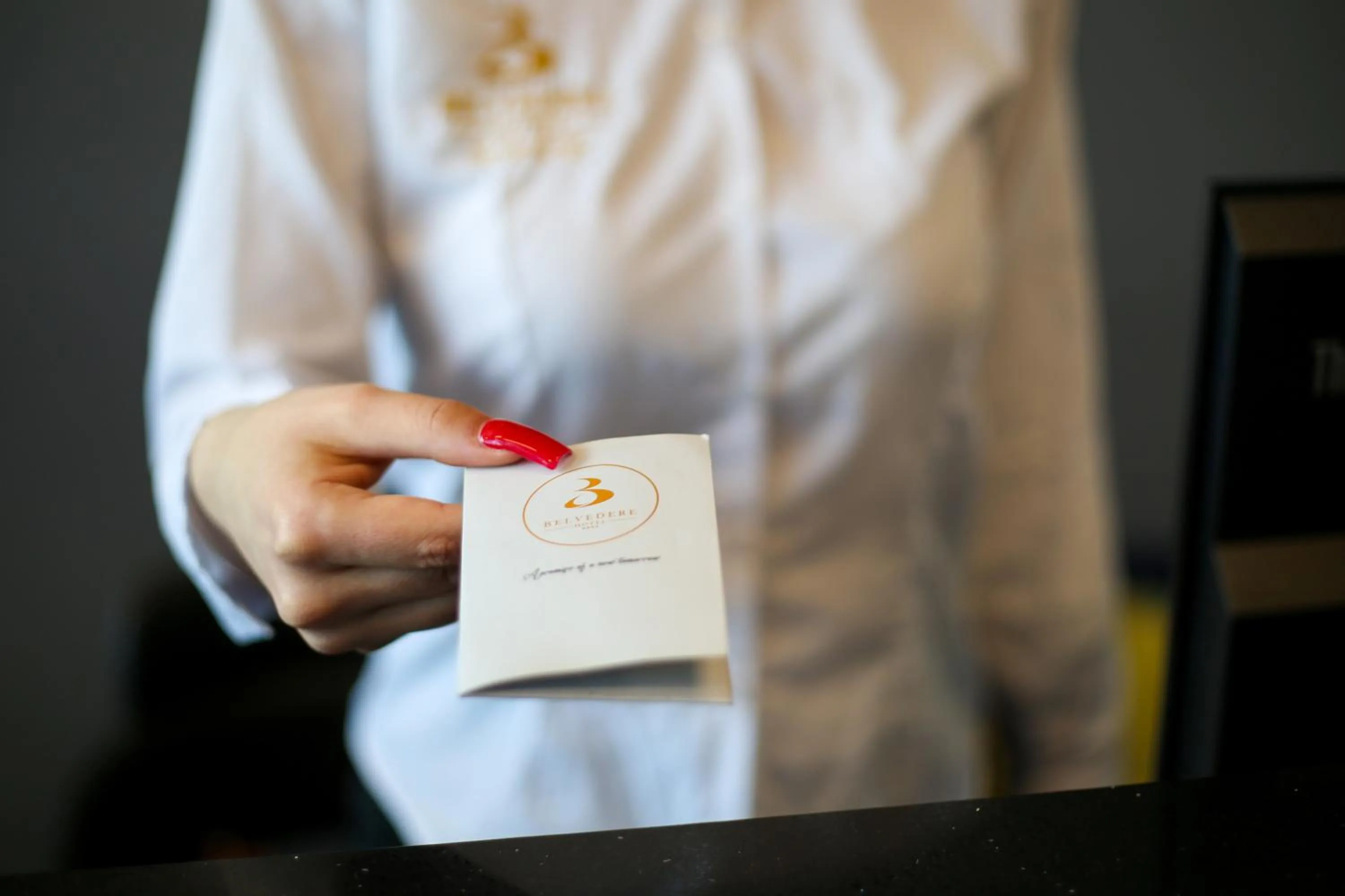 Lobby or reception in Belvedere Hotel & SPA