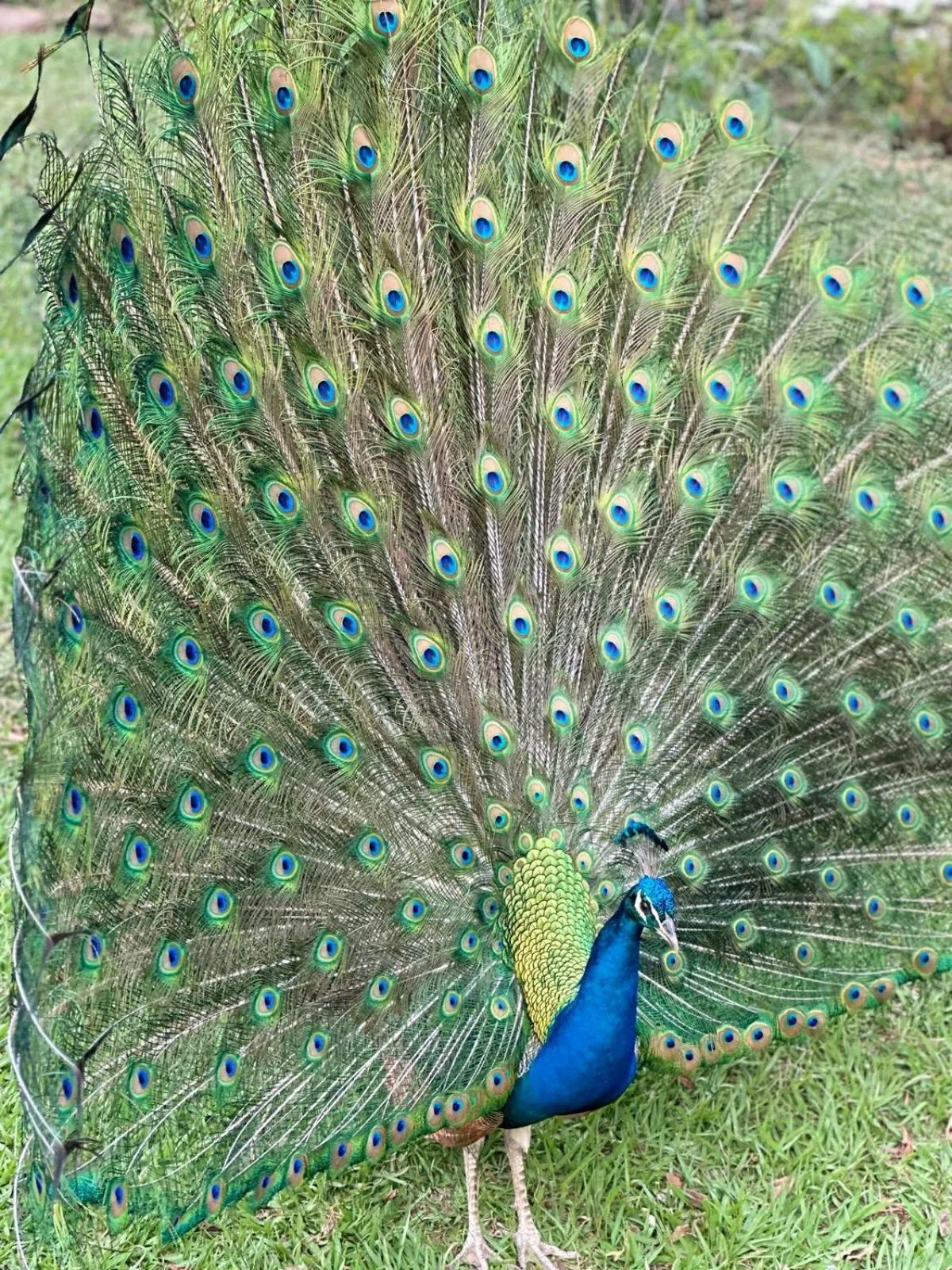 Pousada Rancho na Represa