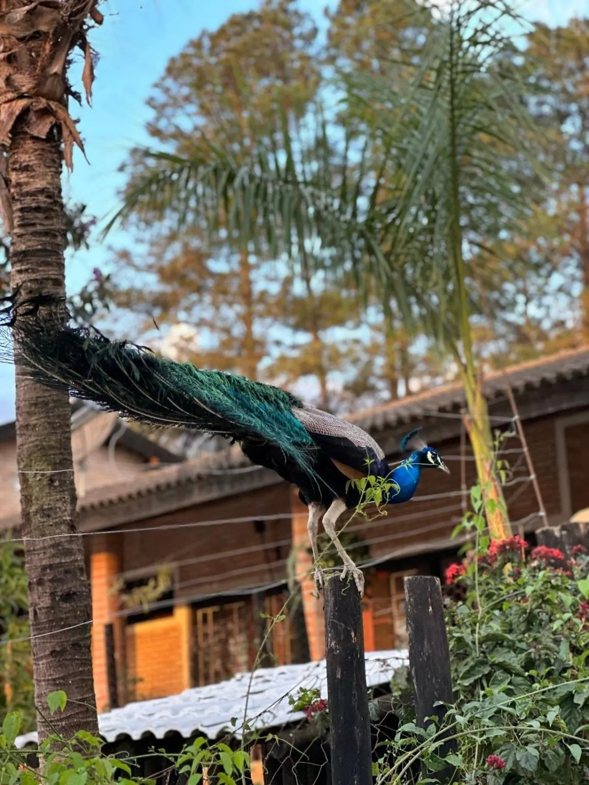 Pousada Rancho na Represa