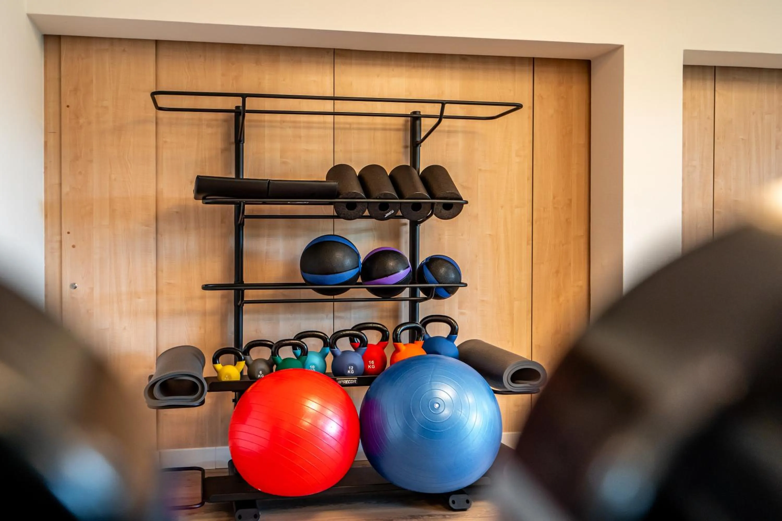 Fitness centre/facilities in stuub hinterzarten