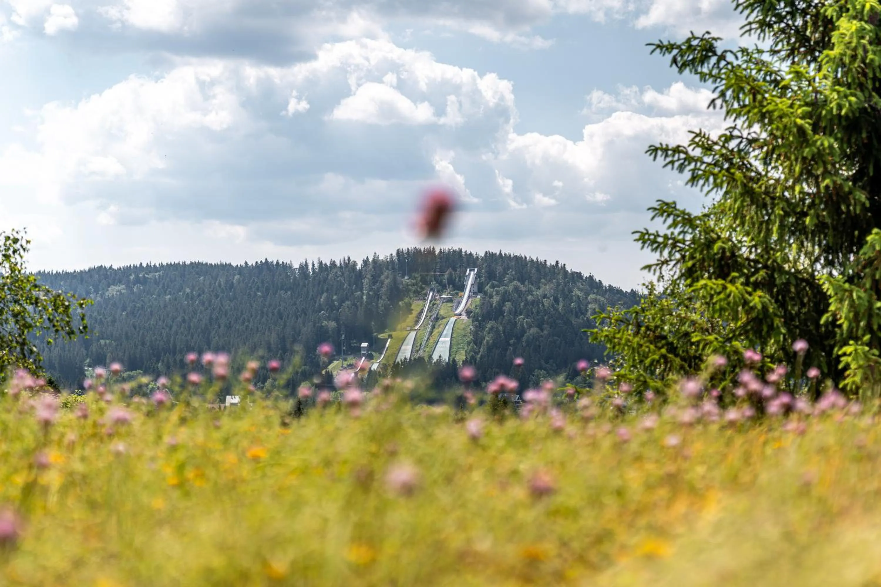 Mountain view in stuub hinterzarten