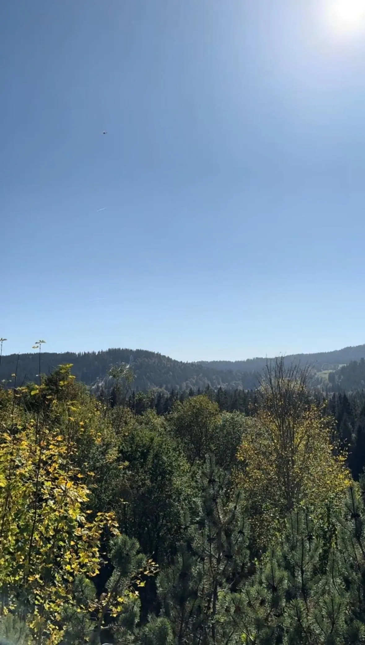 View (from property/room) in stuub hinterzarten