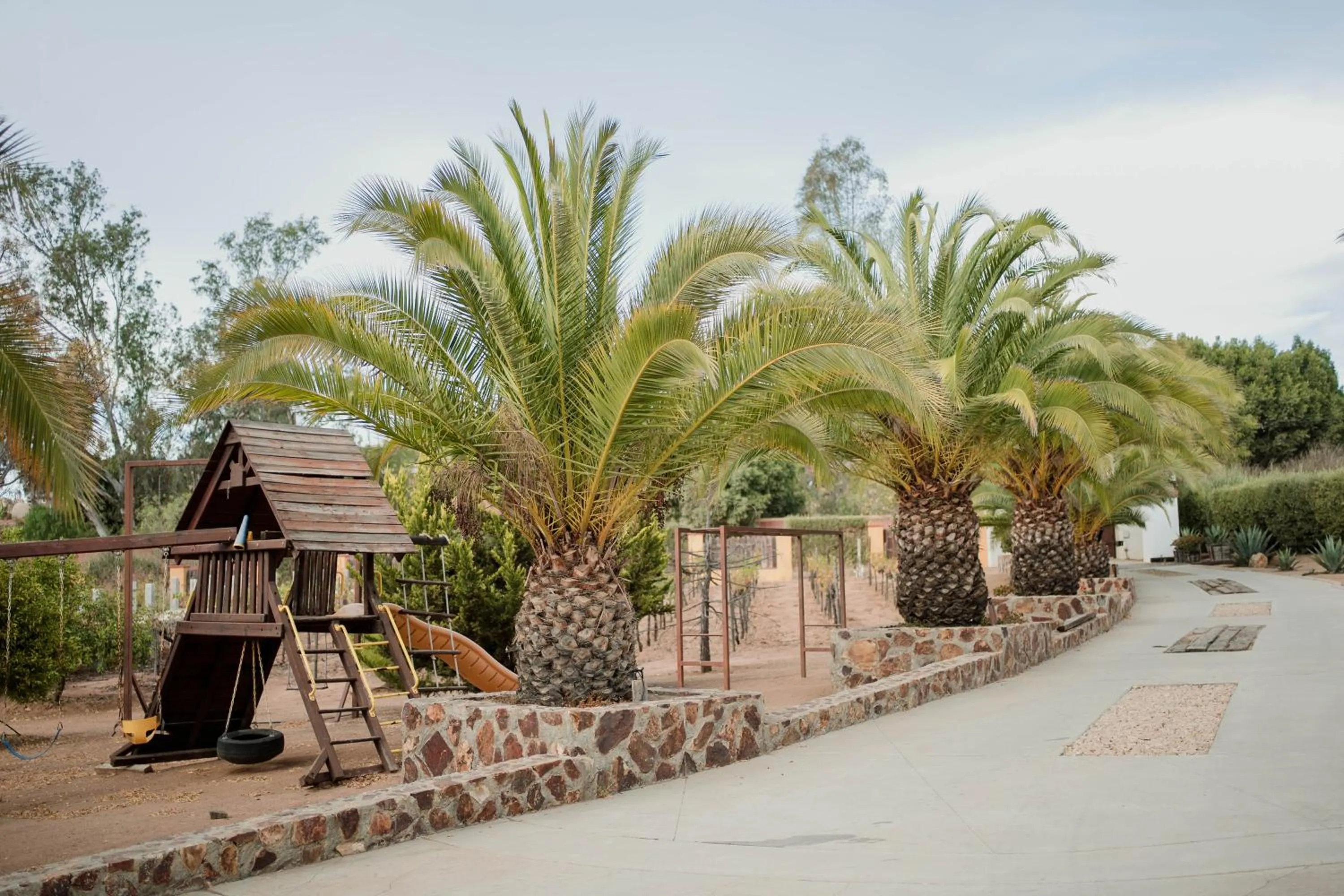 Garden view in Tierra Mia Hacienda Ruta del Vino