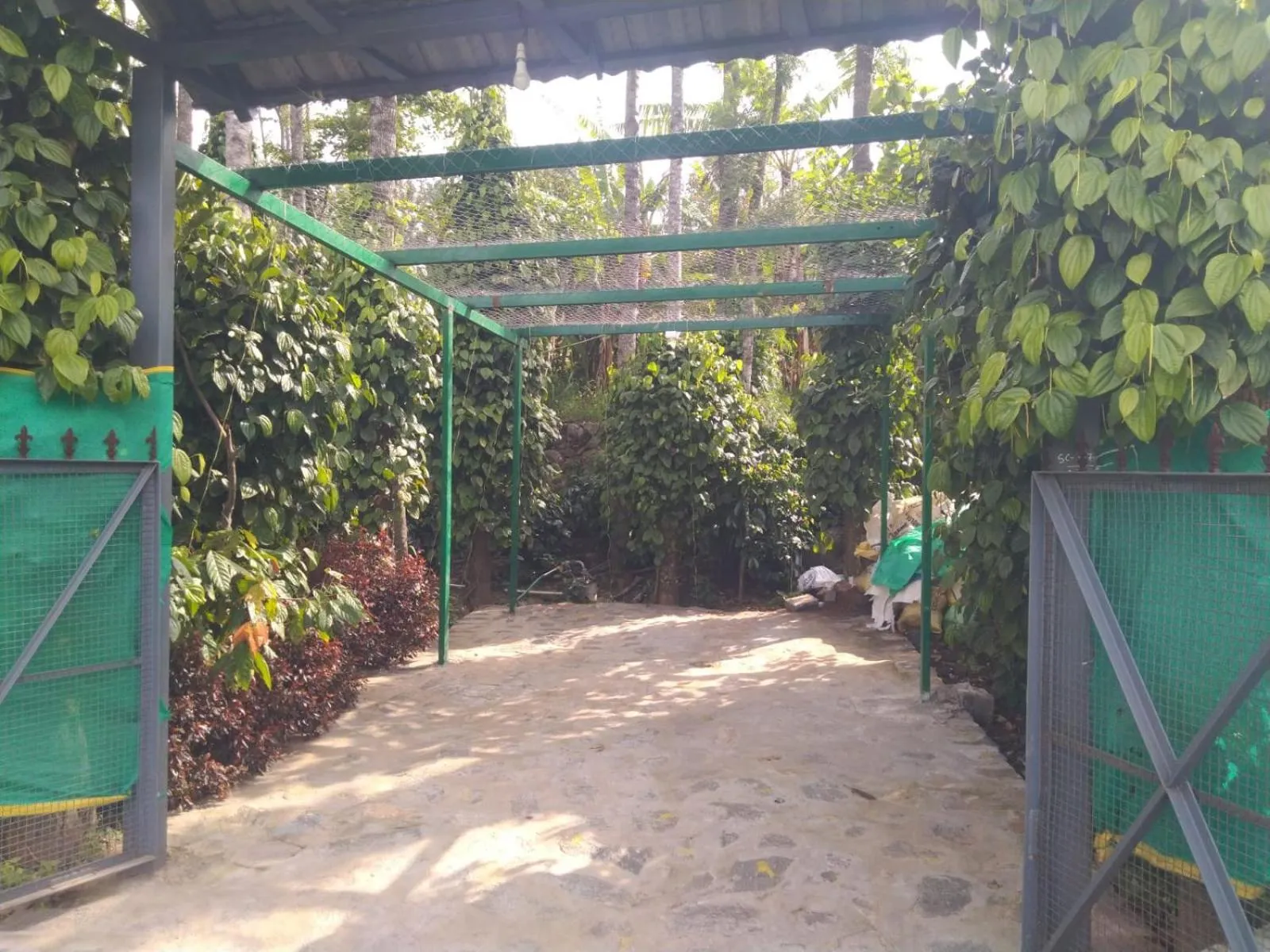 Facade/entrance in Cholai Resorts & Hotels