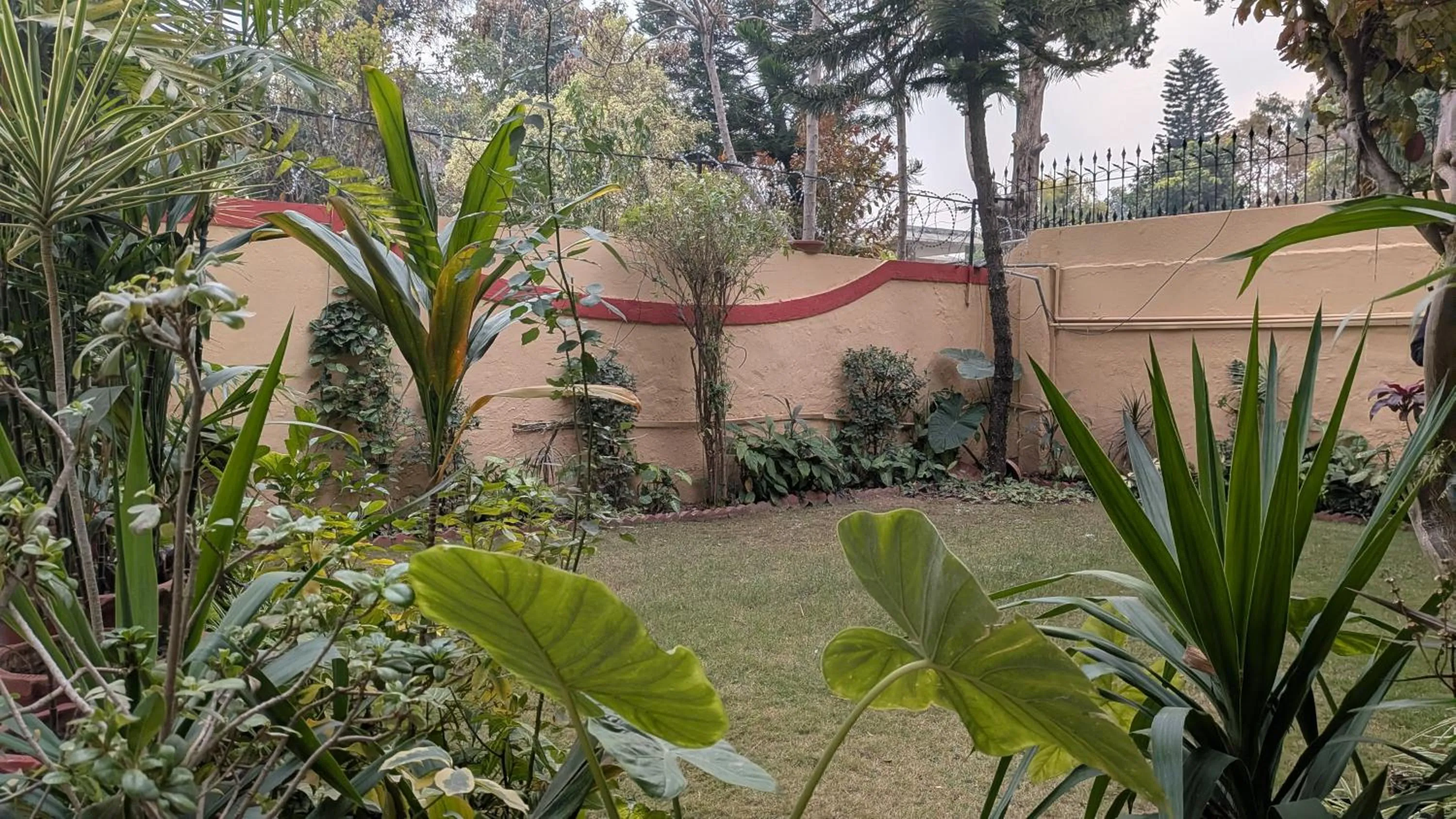 Spring in Executive Royal Garden