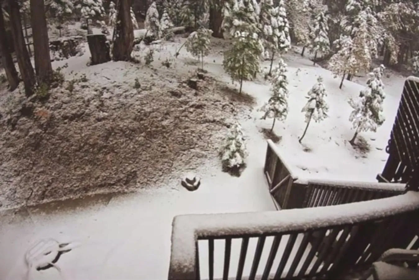 Corlieu Falls Cabin in Sugar Pine 8 miles from Yosemite with Gazebo, Hot tub a shack and Bar top