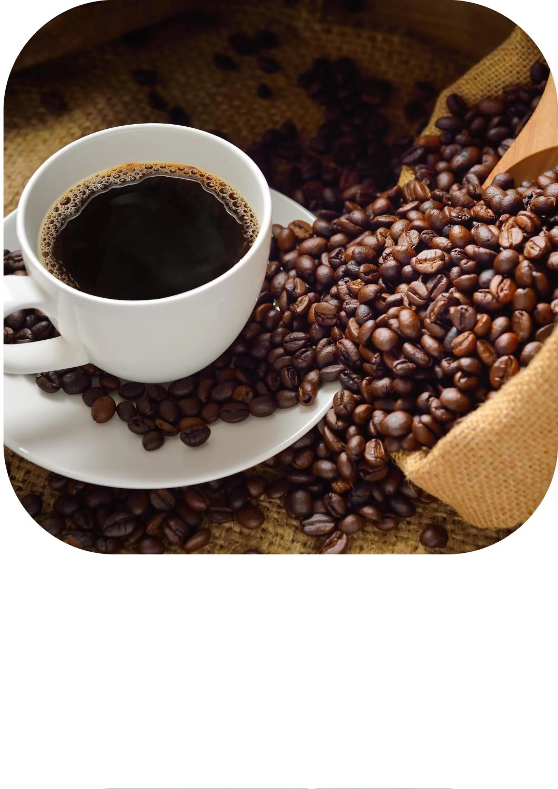 Restaurant/places to eat in Far Life Hotel