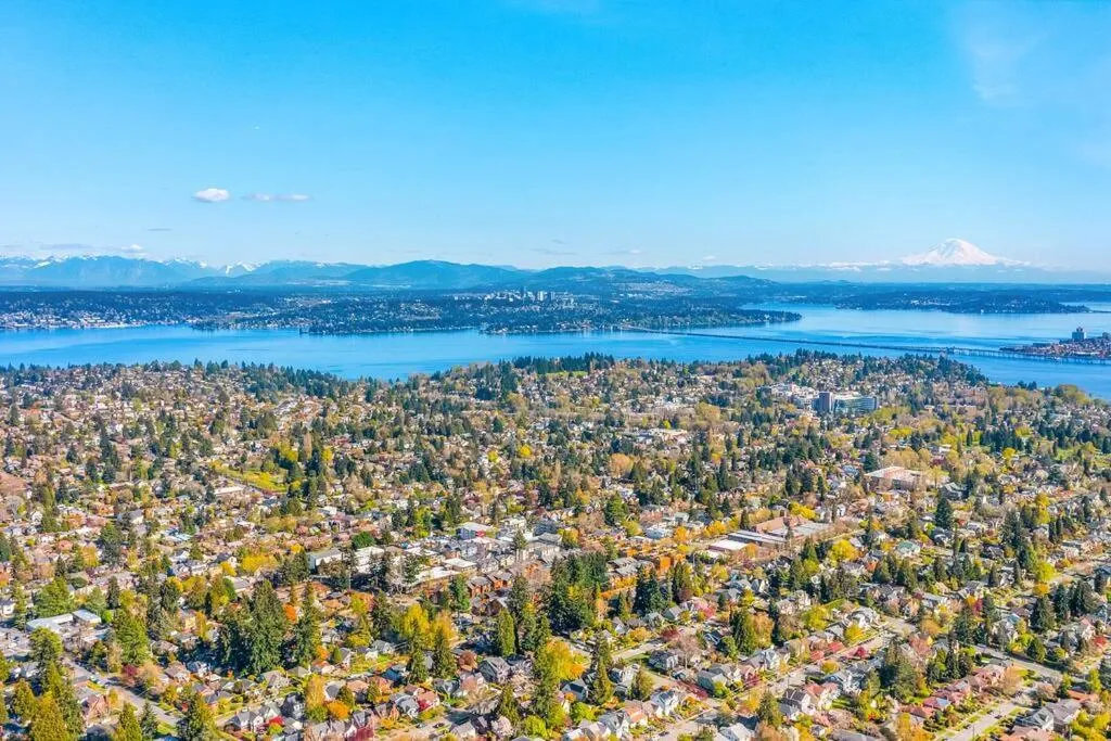 Lilac In Law, Picturesque lower unit