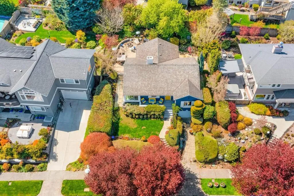 Magnolia on the Hill