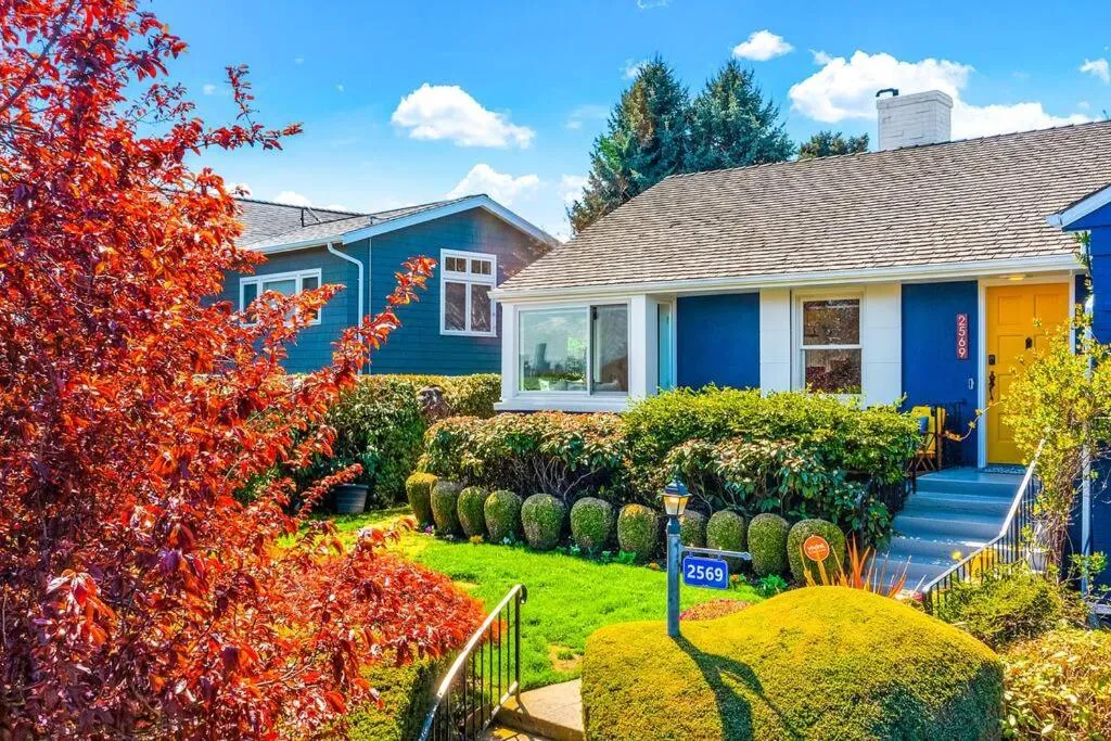 Magnolia on the Hill