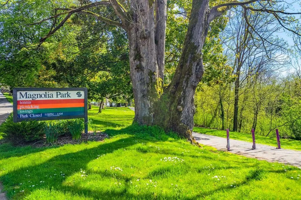Magnolia on the Hill