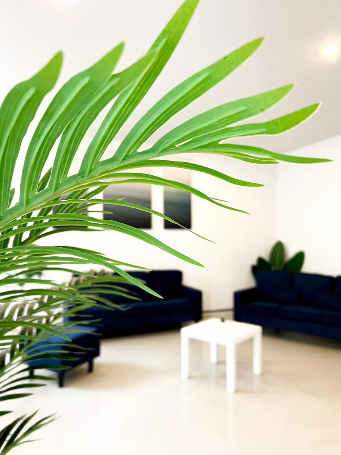 Living room in BAOBAB