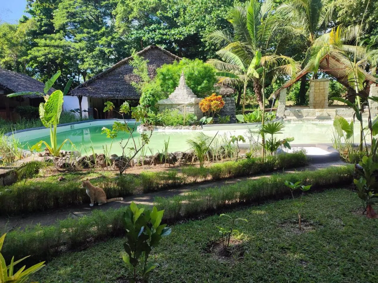 Swimming pool in Kintana Hotel SPA