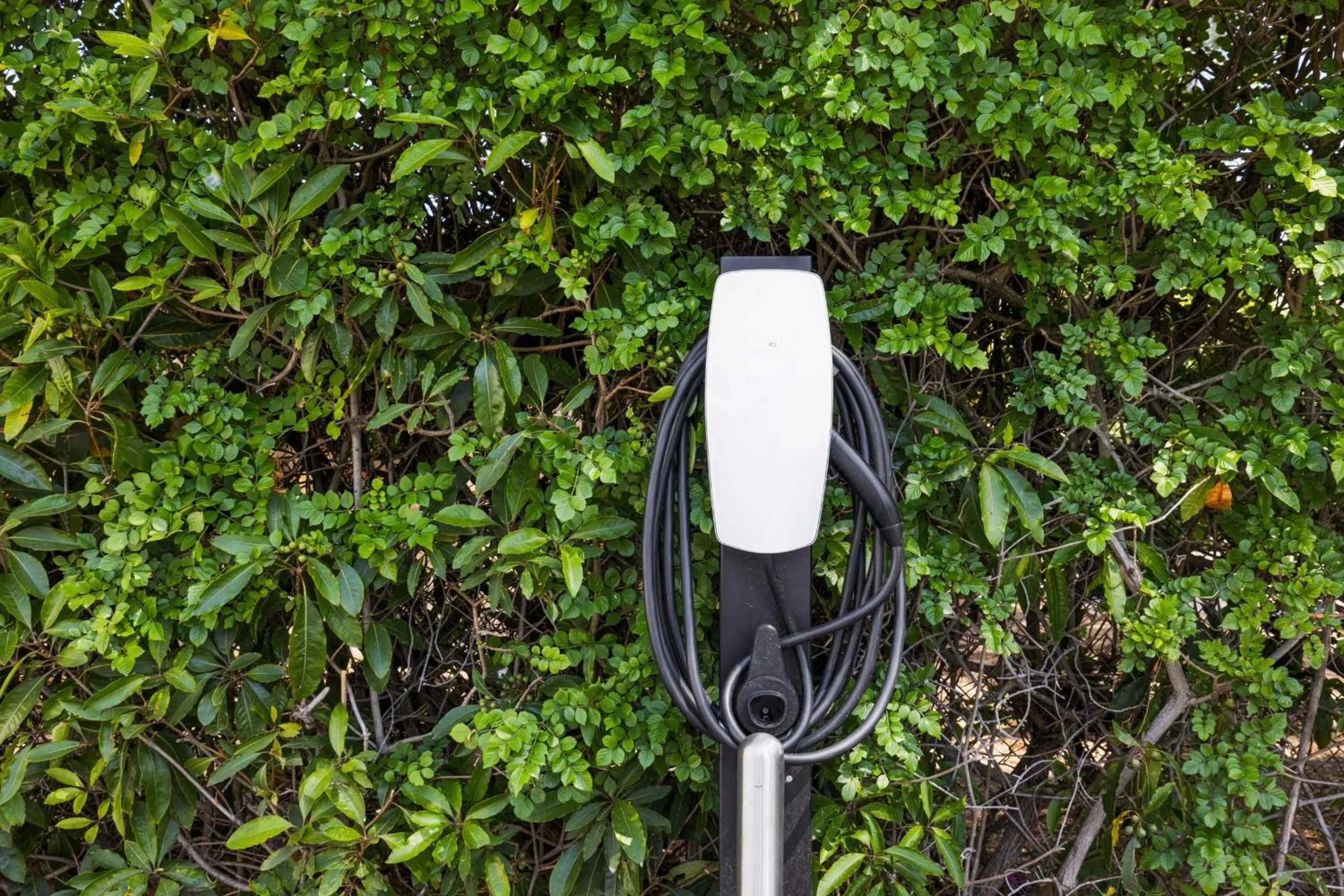 Parking in Casa Jardin - Boutique Suites in Downtown Santa Barbara