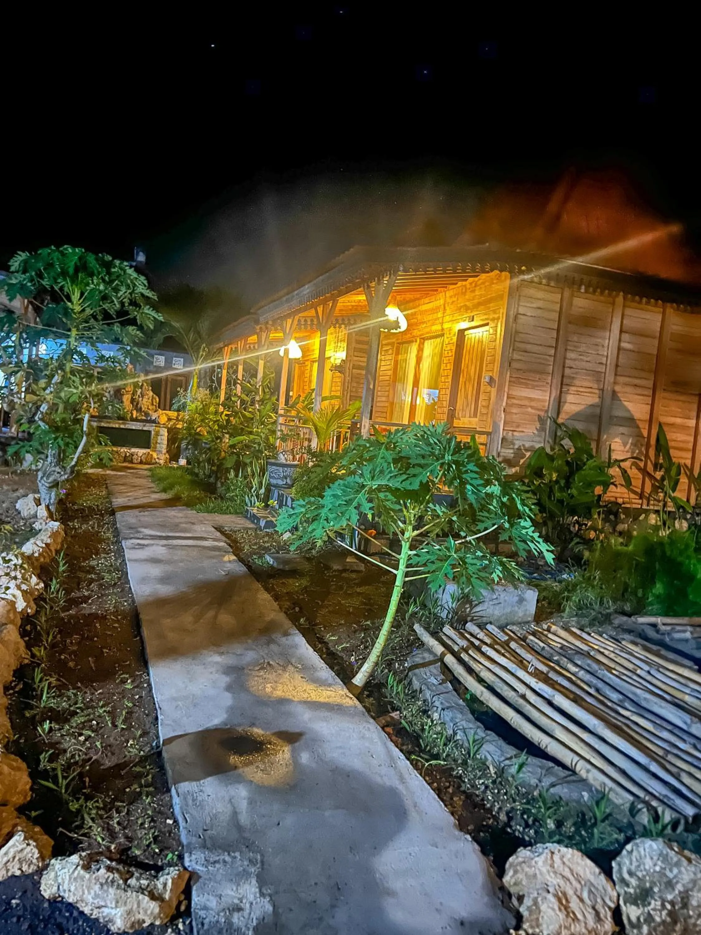 Garden view in Skywatch cottage