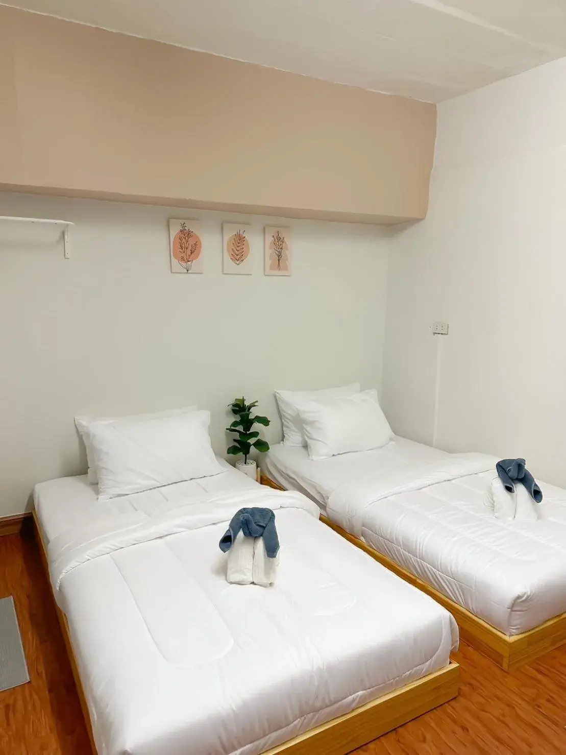 Standard Twin Room in MONTANA Hotel & Hostel Phuket Standard Twin Room in MONTANA Hotel & Hostel Phuket