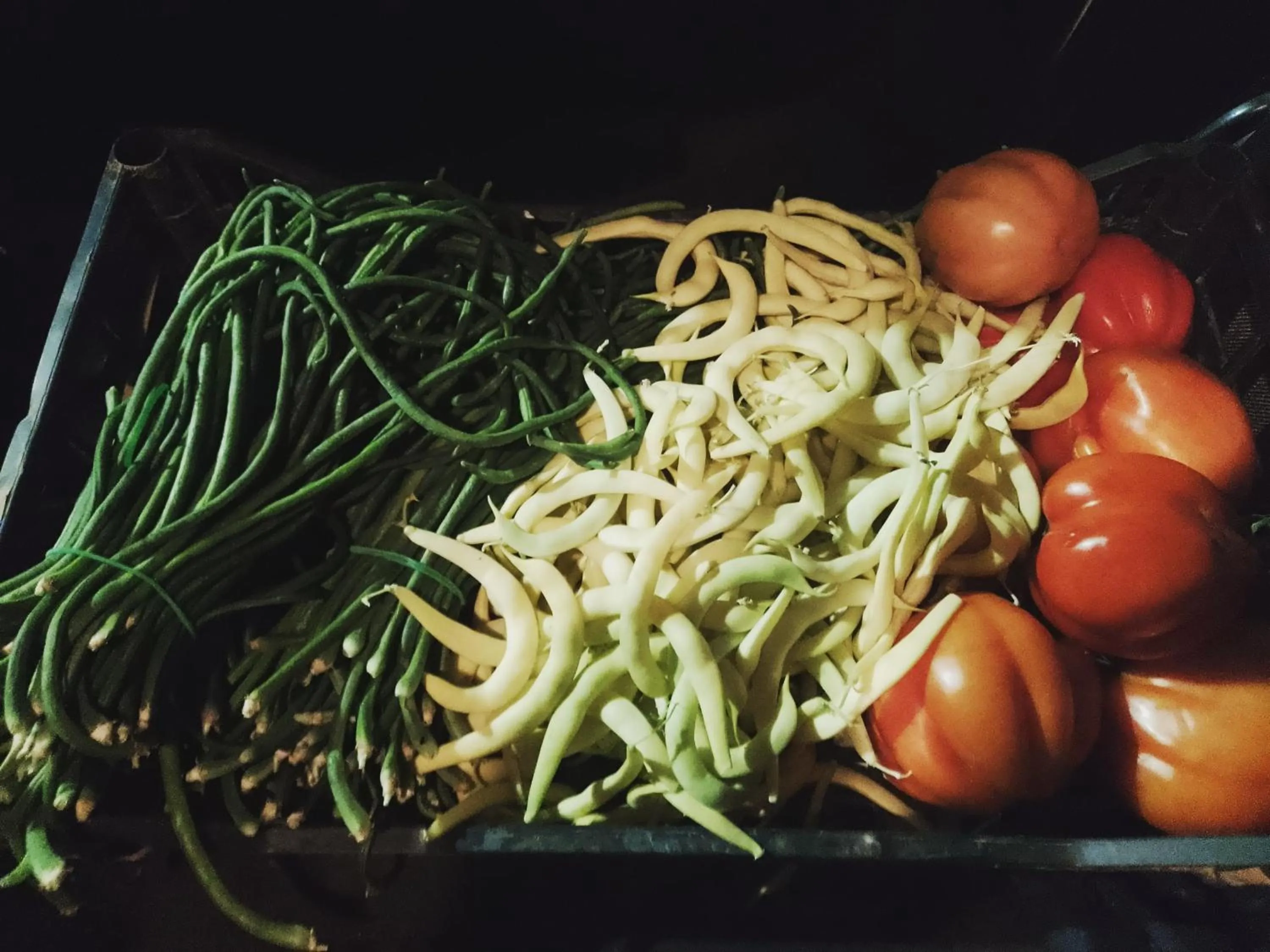 Food in Villa Marinsky Pietrasanta