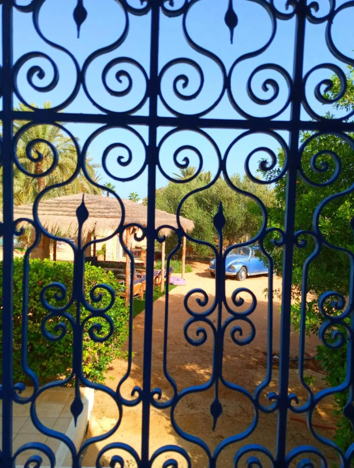 Day in Le Patio de Mezraya