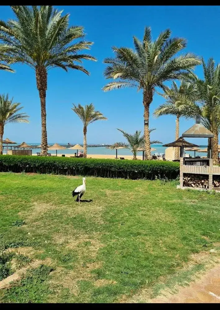 Palma Resort Palma Resort