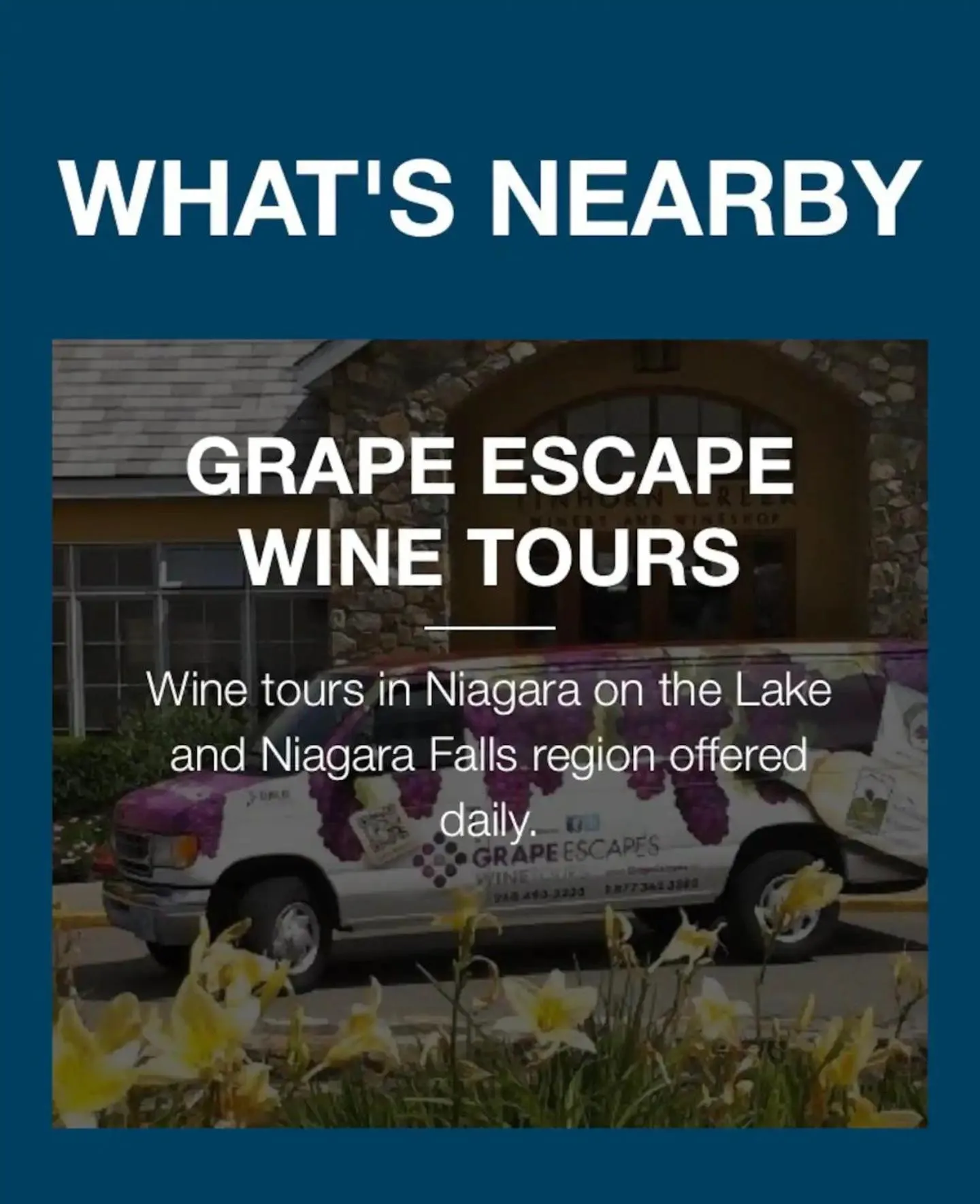 Text overlay in Falcon Cottages