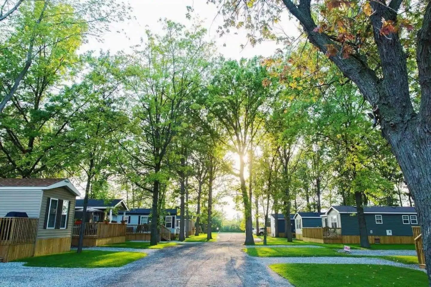 Natural landscape in Falcon Cottages