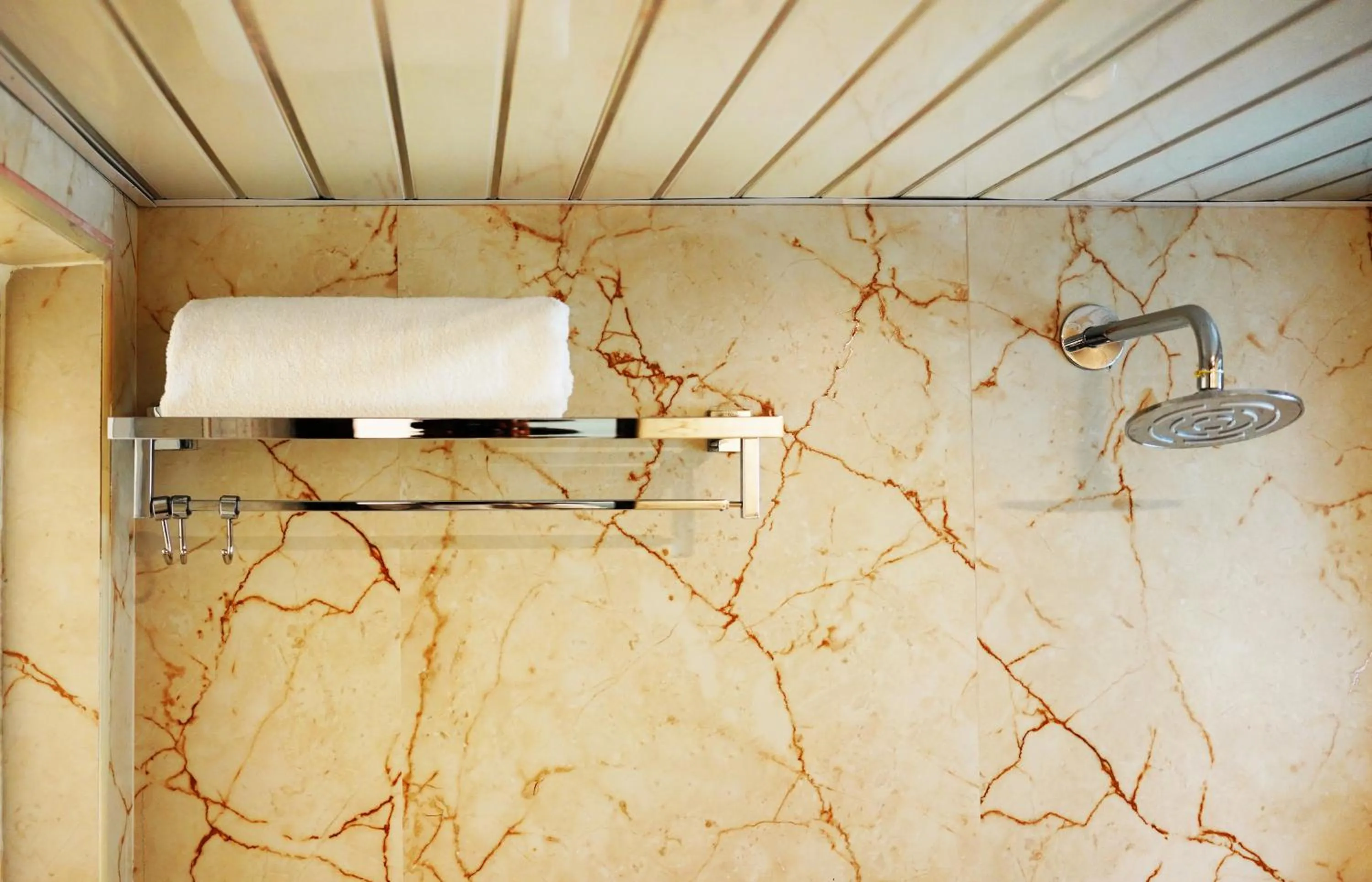 Shower in Dream Hotel - Richmond