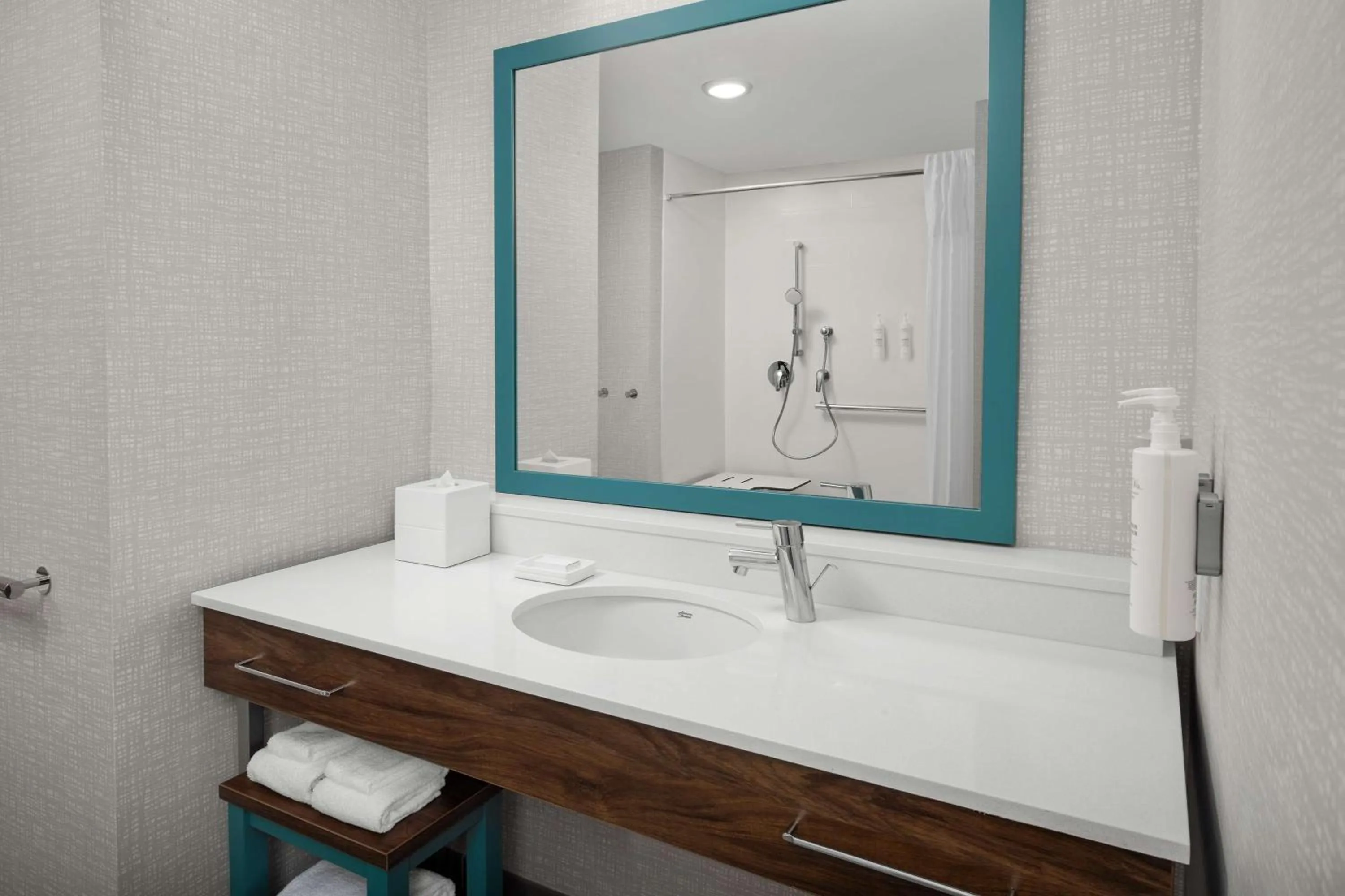 Bathroom in Hampton Inn Orlando Southeast Nona