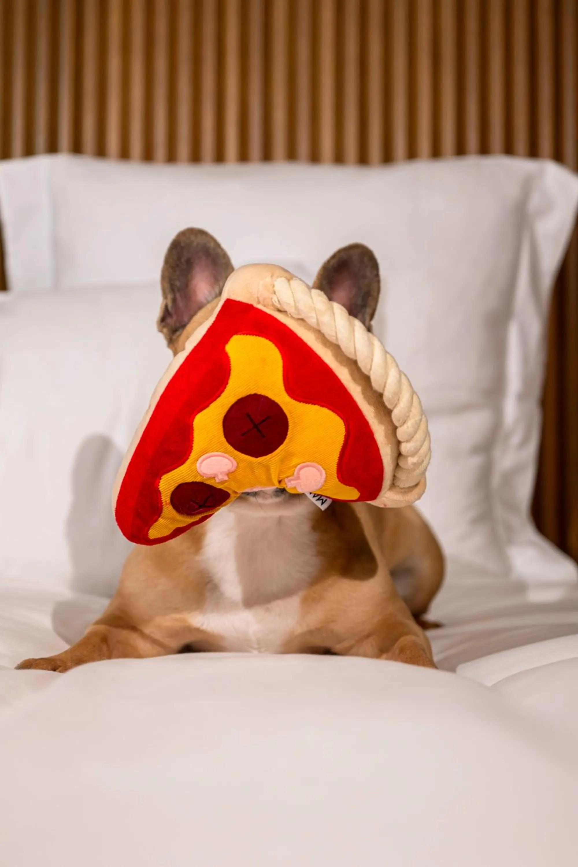 Restaurant/places to eat, Bed in Mama Shelter Dijon