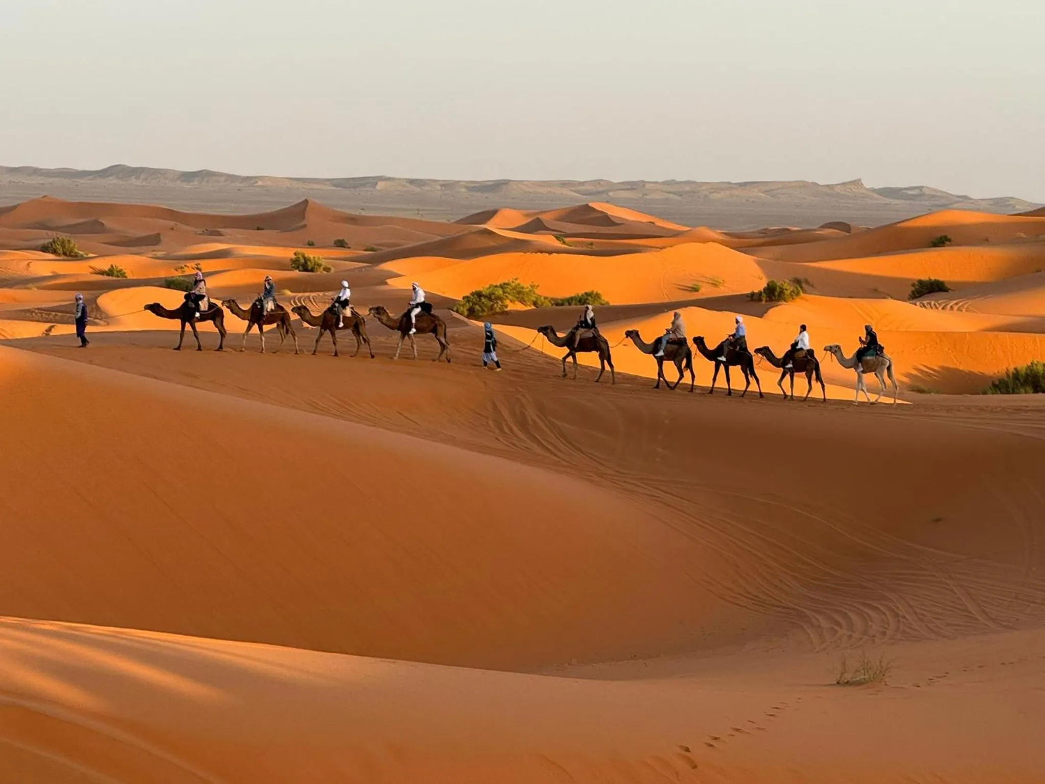 Nearby landmark in Horaz Merzouga Camp